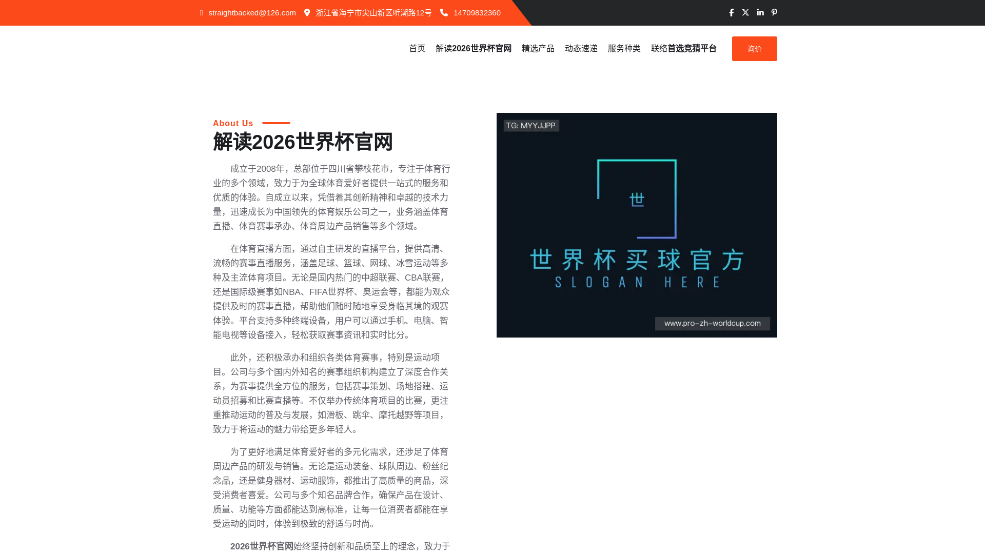 website screenshot of https://pro-zh-worldcup.com/