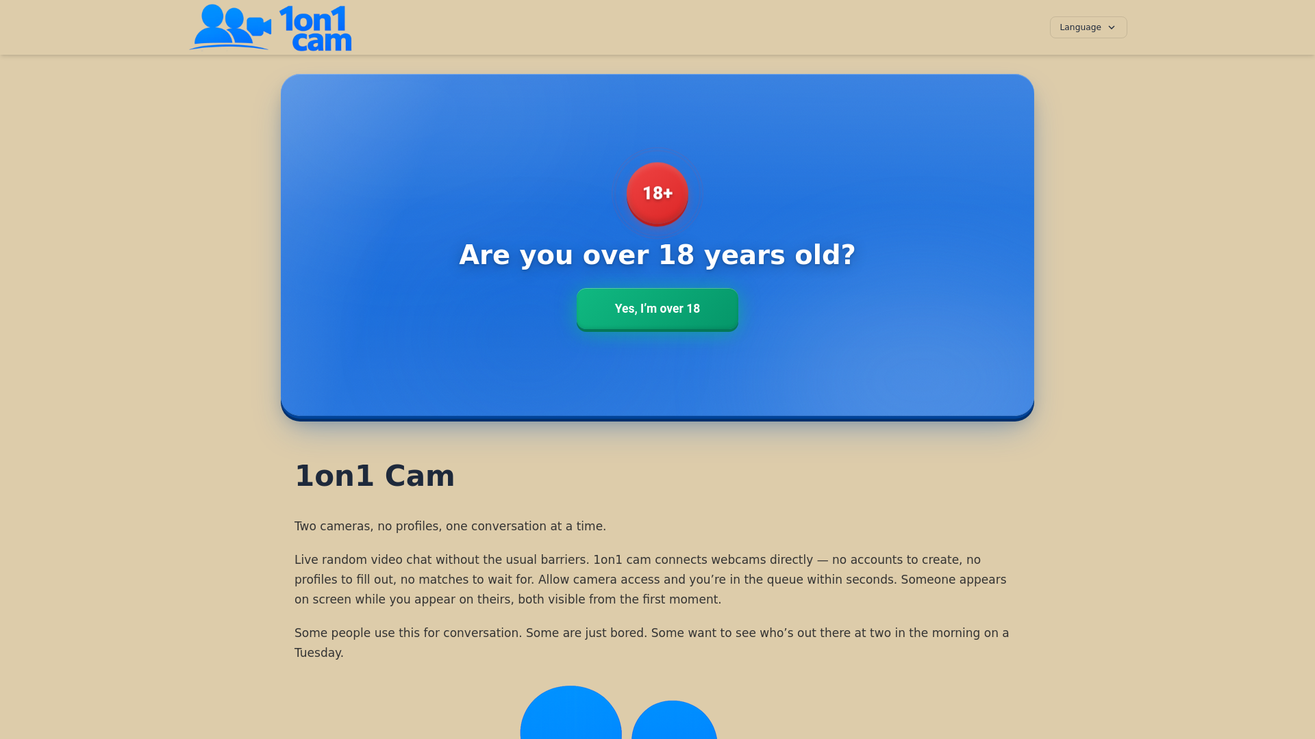website screenshot of https://1on1cam.org/