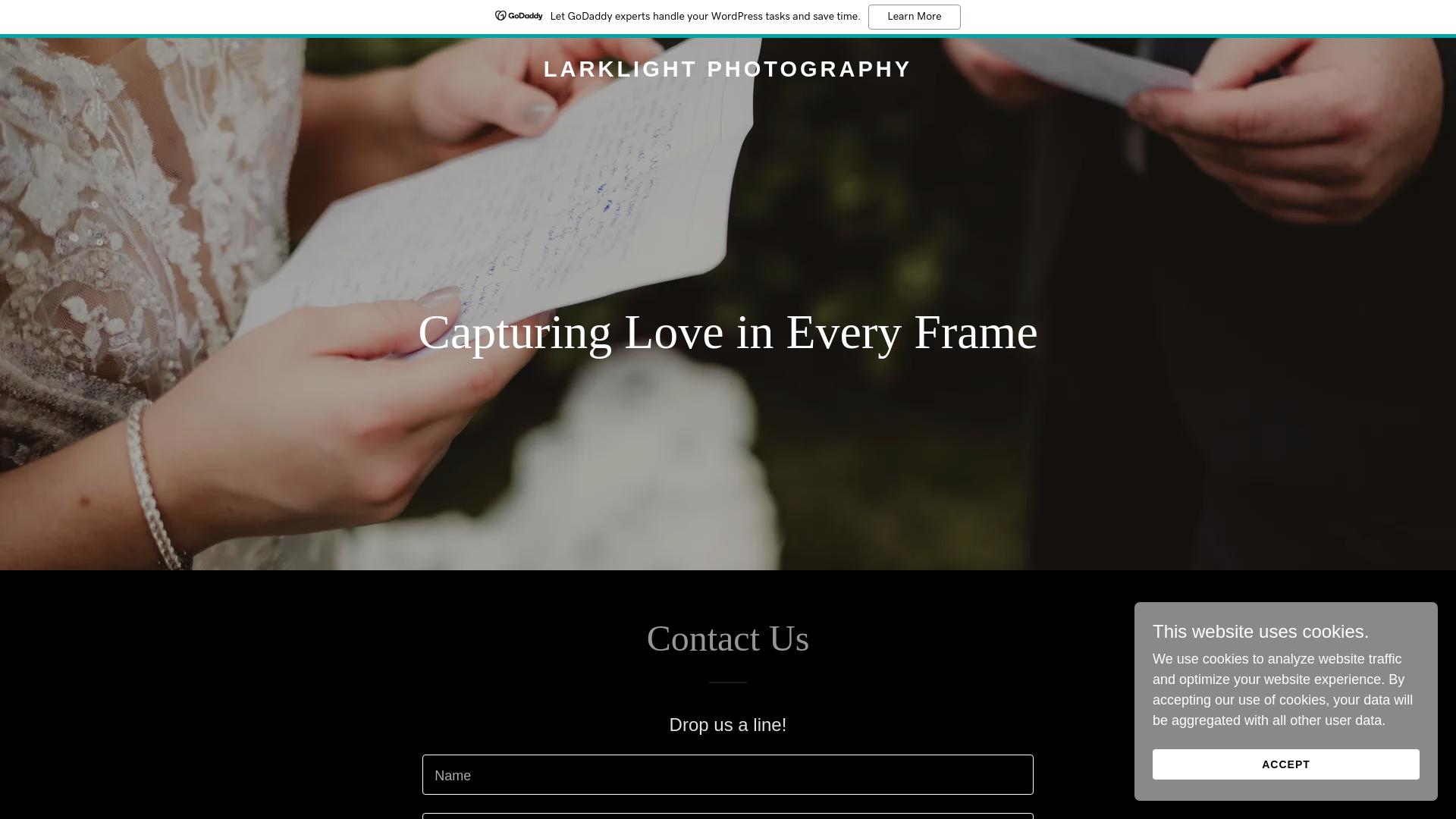website screenshot of https://larklightphotography.com/