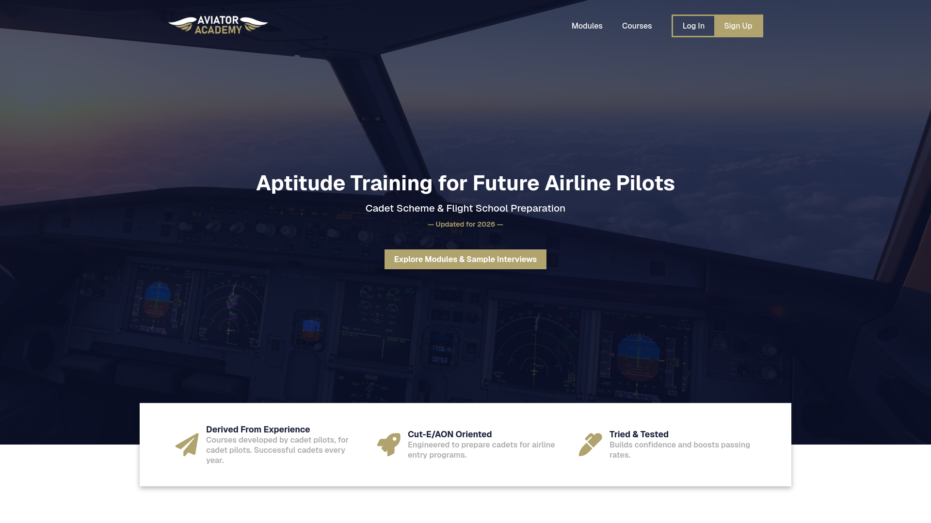 website screenshot of https://aviatoracademy.net/