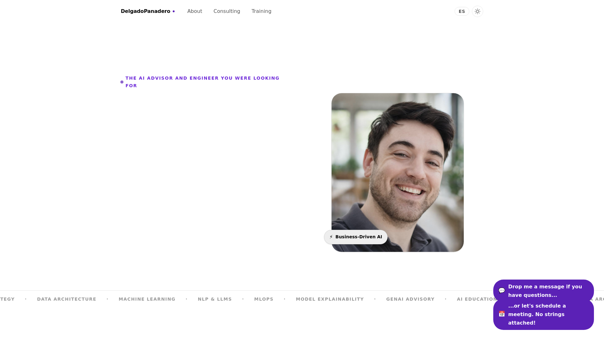 website screenshot of https://delgadopanadero.com/