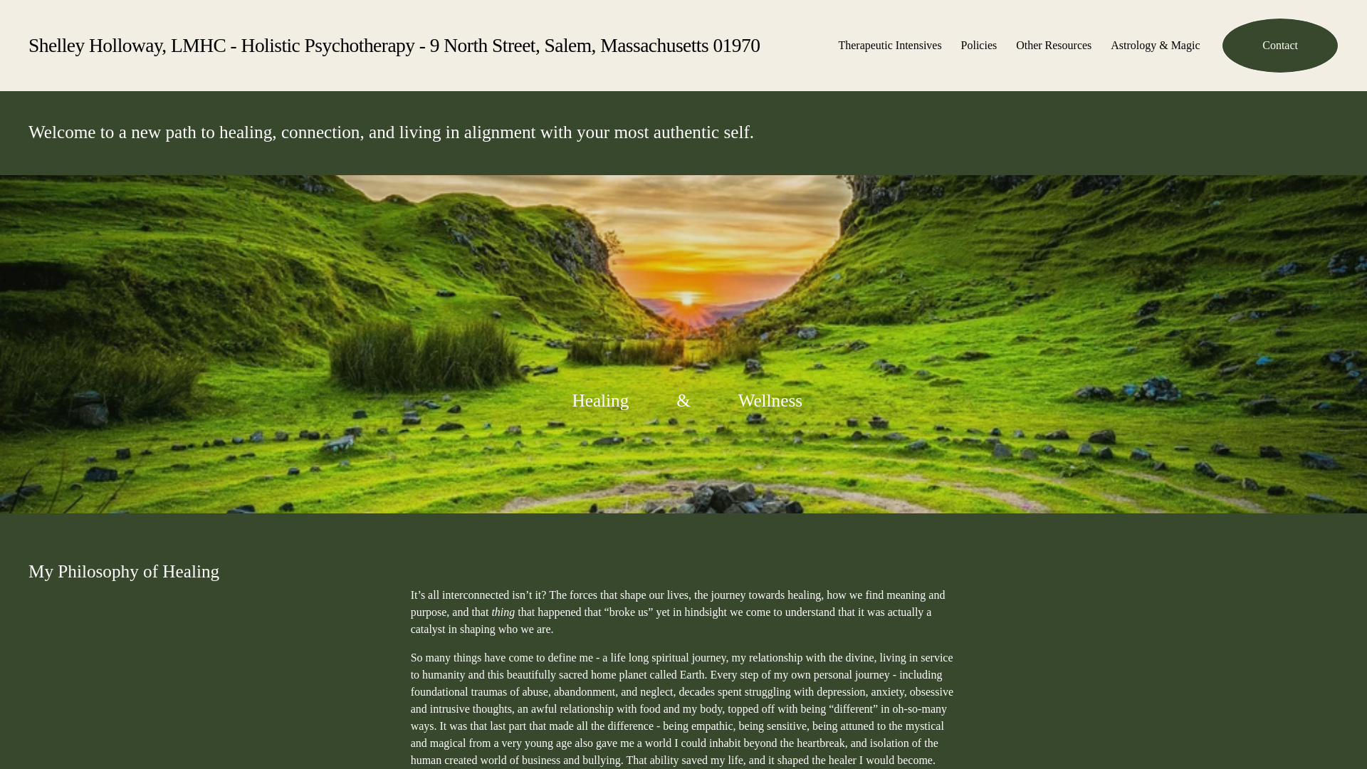 website screenshot of https://shelley-holloway.com/