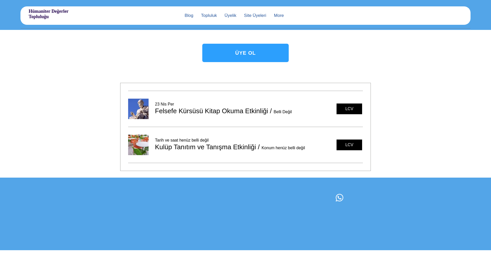 website screenshot of https://humaniterdegerler.com