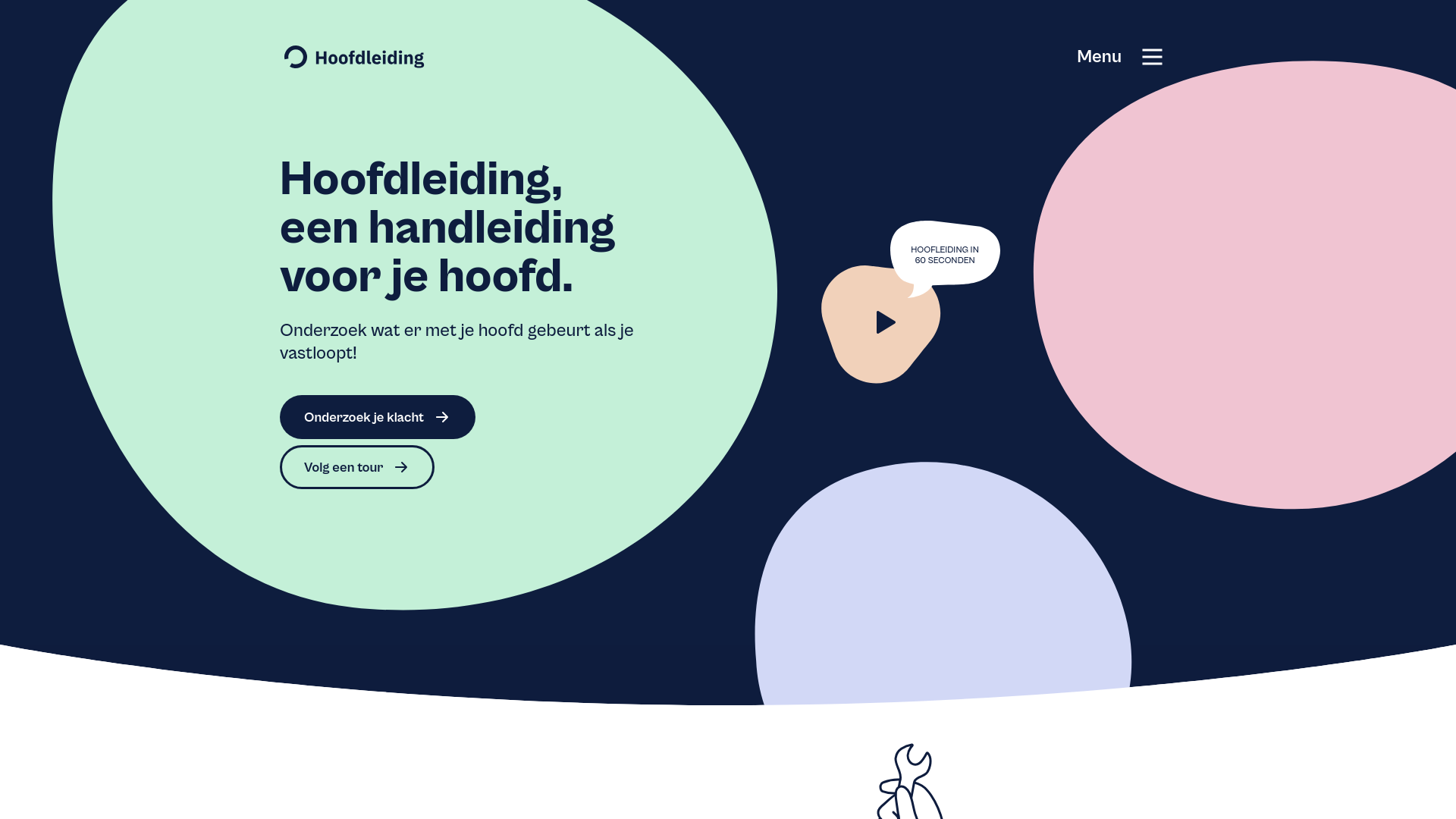 website screenshot of https://www.hoofdleiding.nl