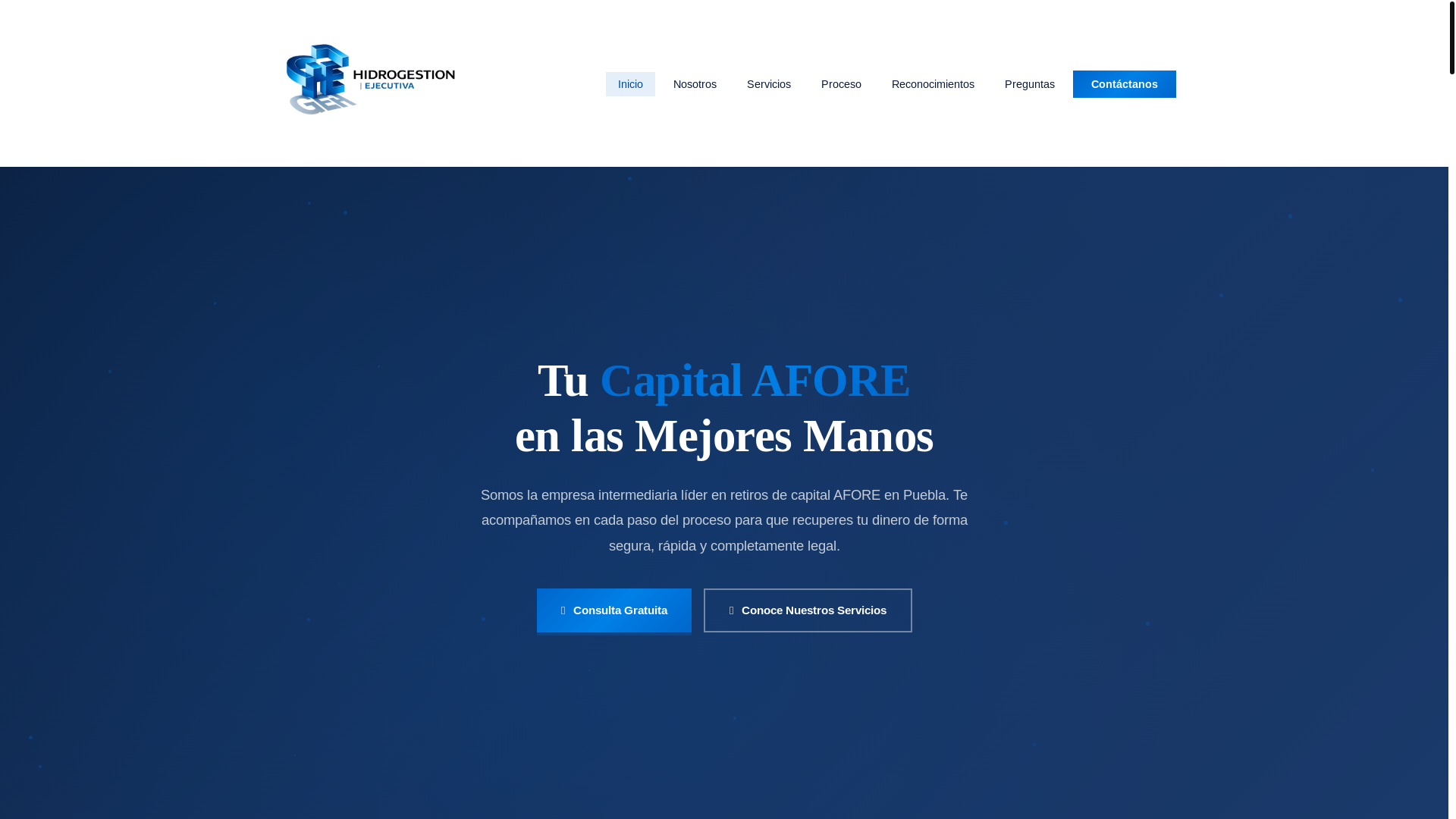 website screenshot of https://hidrogestion.org/