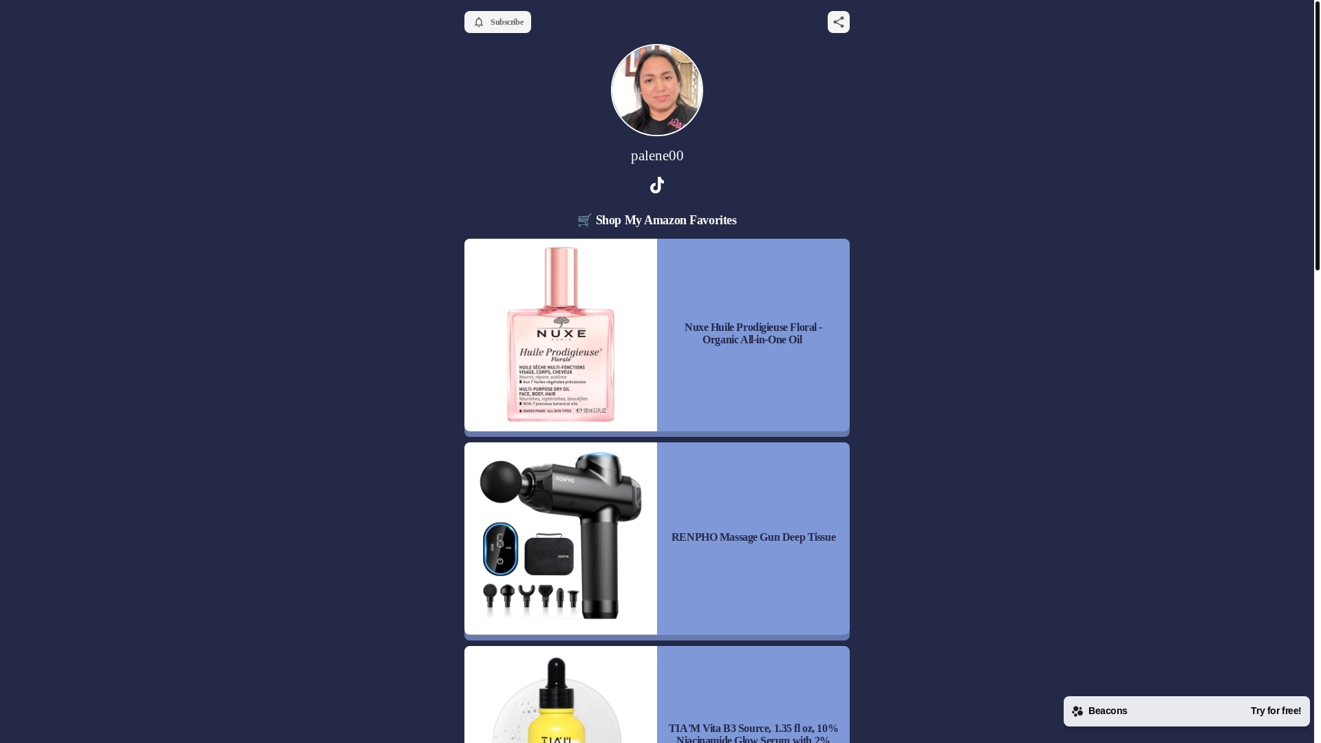 website screenshot of https://palene00.com/