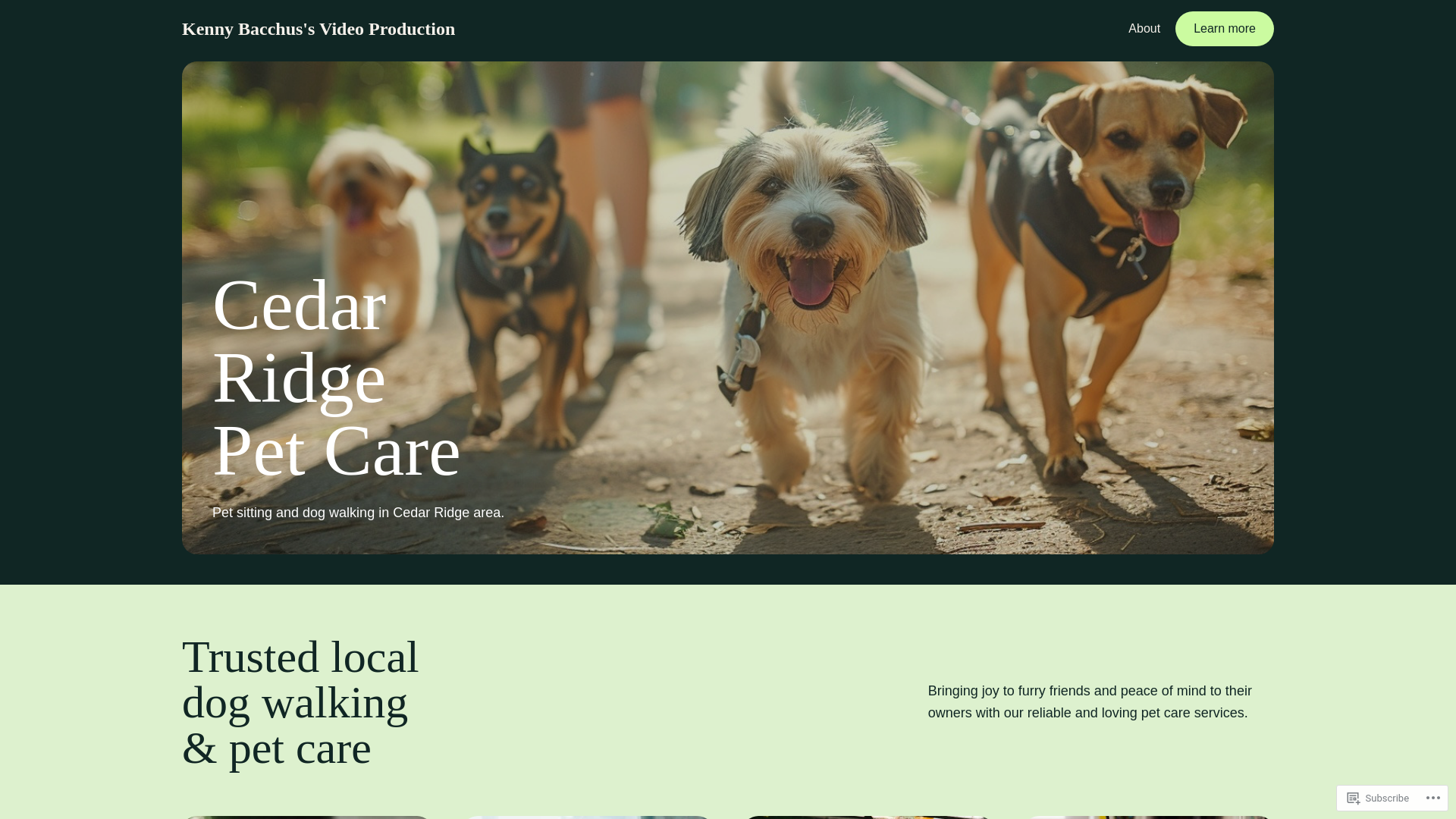 website screenshot of https://kennybacchus.com/