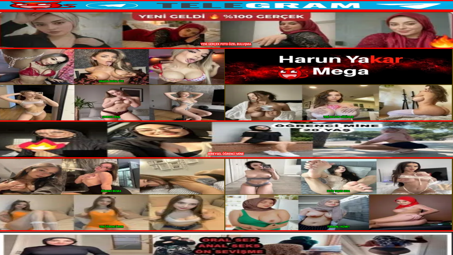 website screenshot of https://sisliescmyakki.space