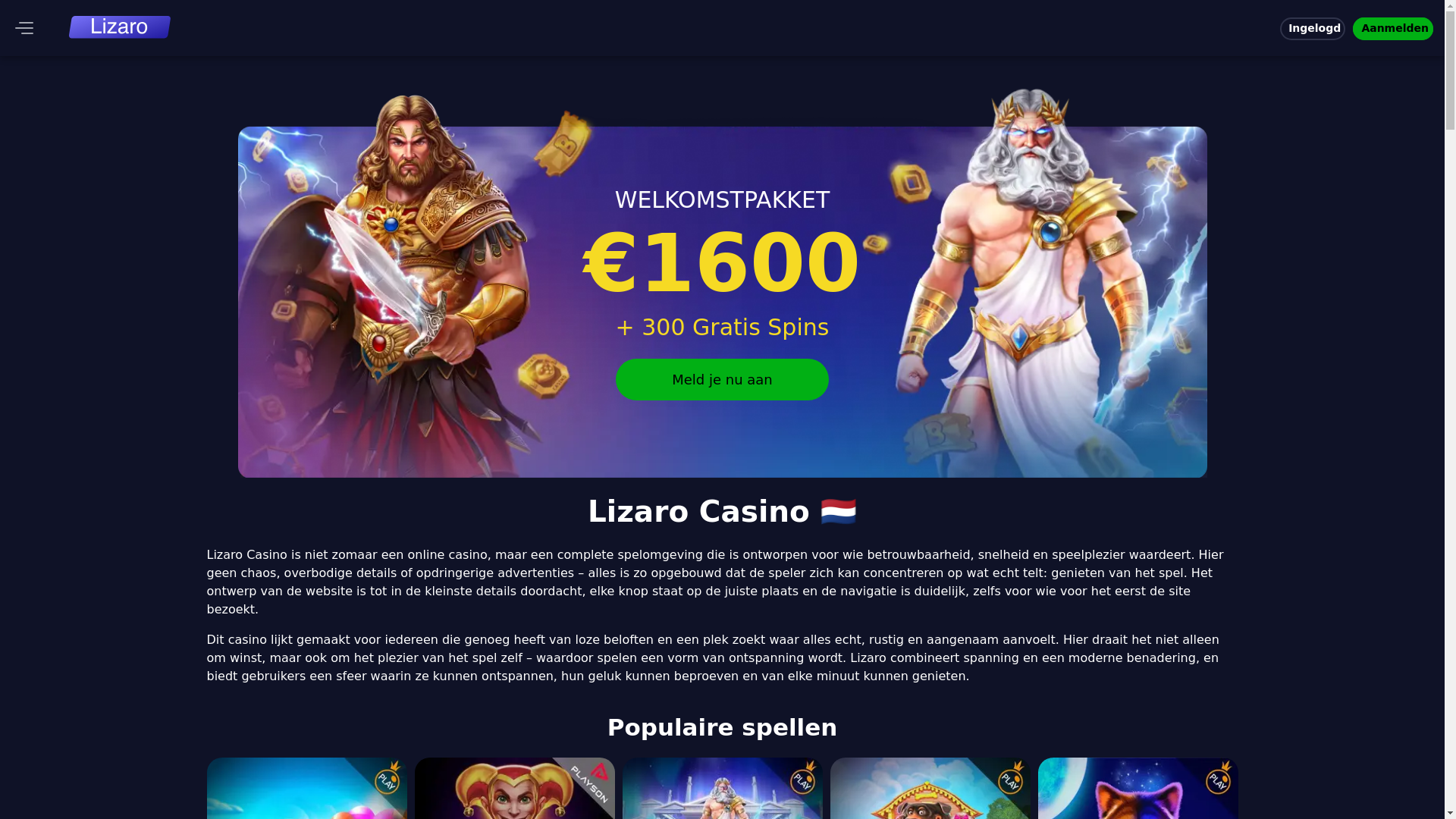 website screenshot of https://lizaro-nl-nl.pages.dev/