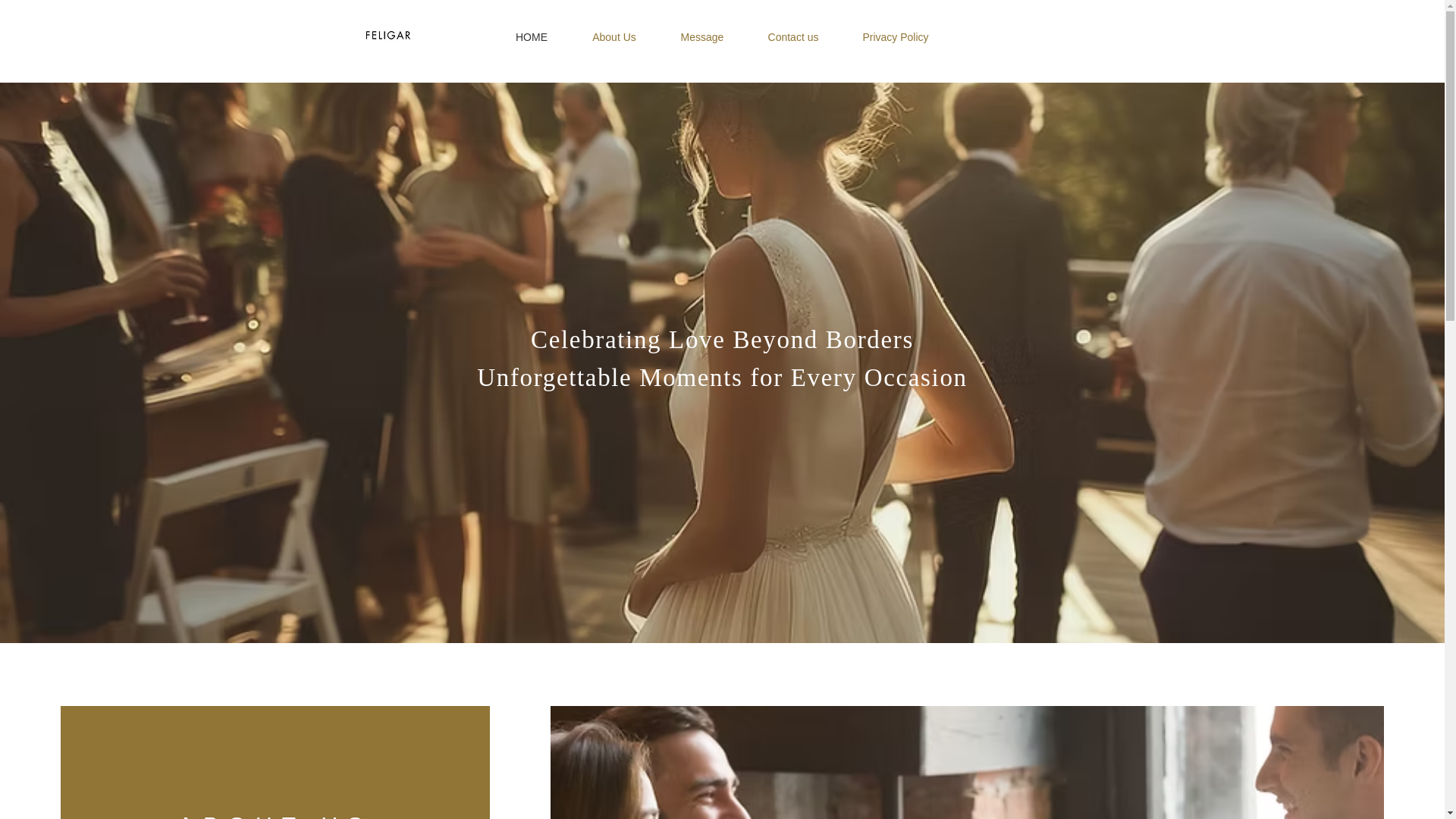 website screenshot of https://feligar.com/