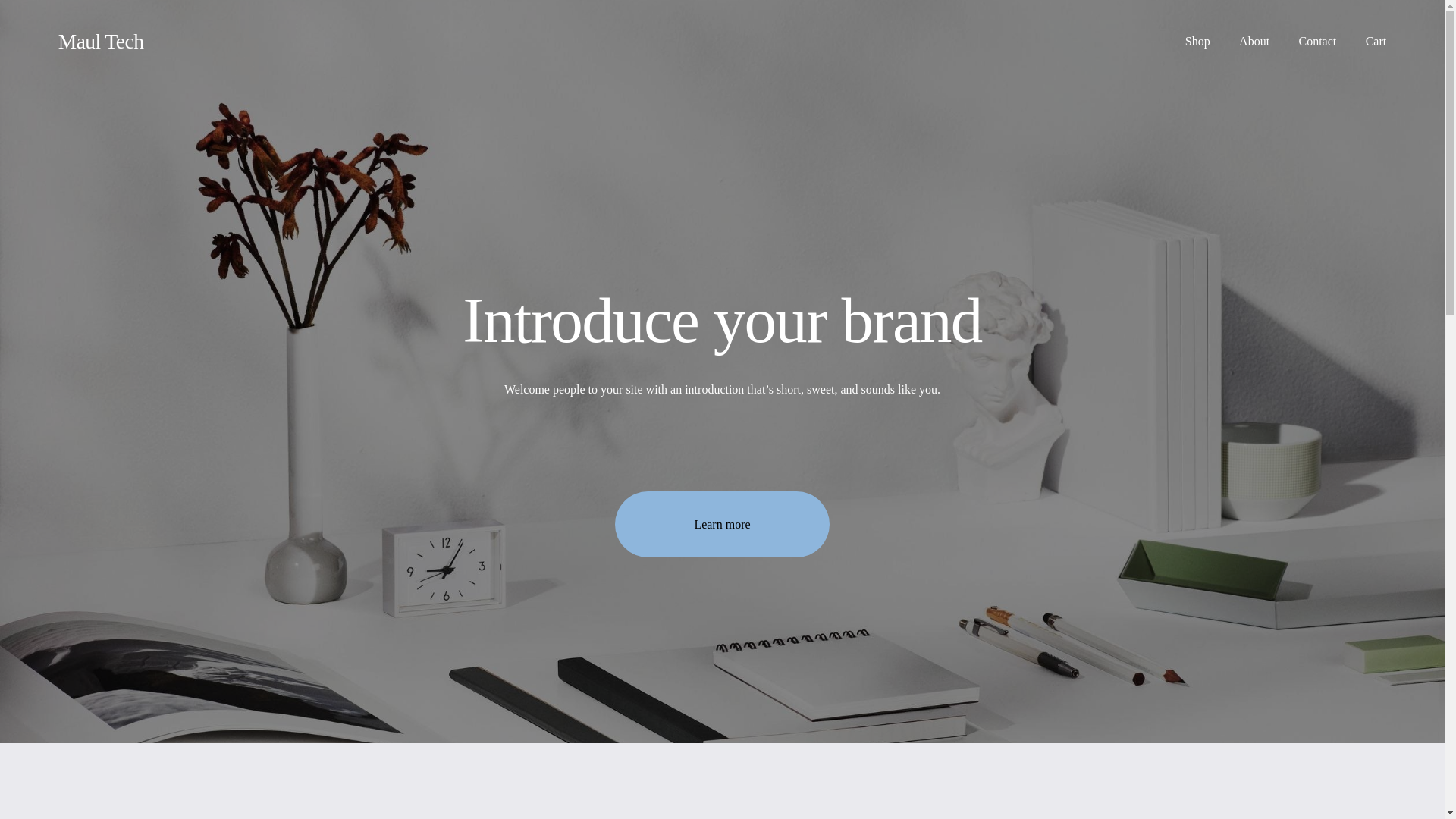 website screenshot of https://maul-tech.com/