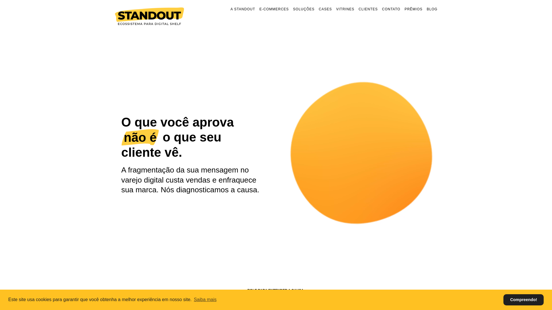 website screenshot of https://drsystems.com.br