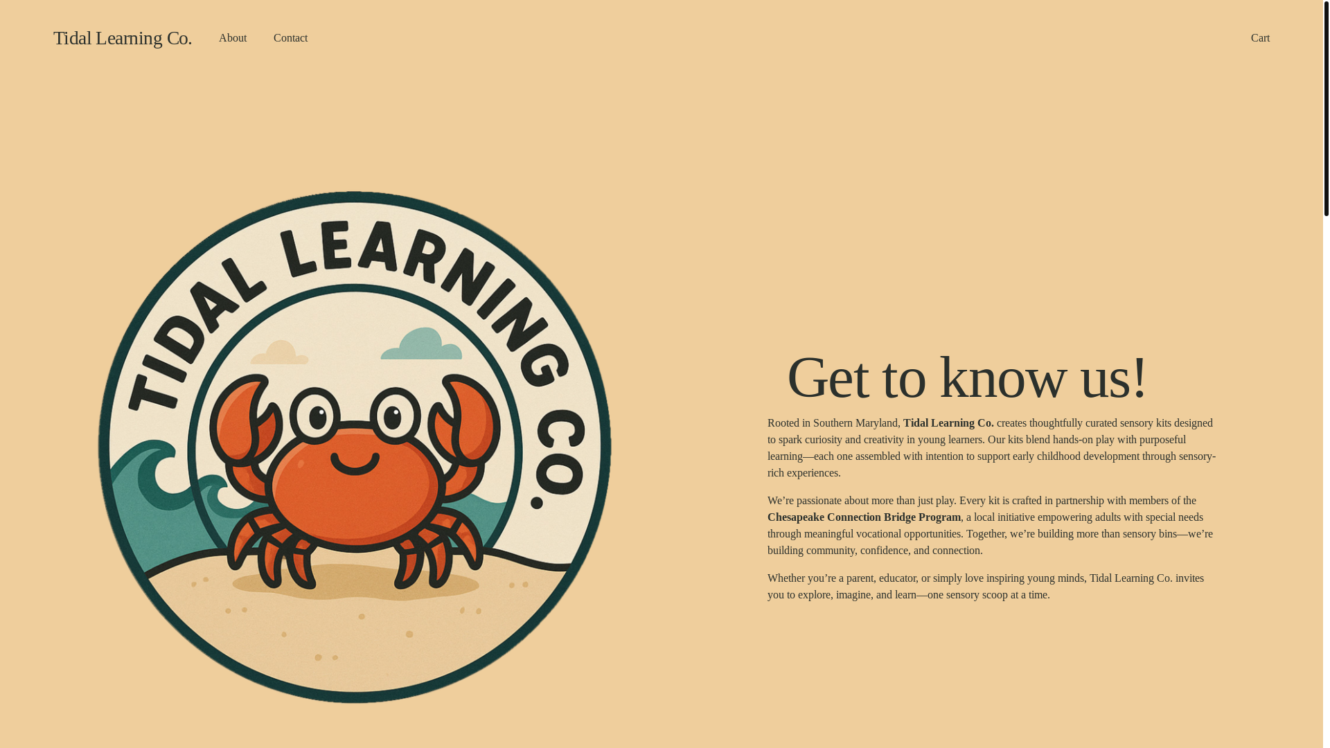 website screenshot of https://tidallearningco.com/