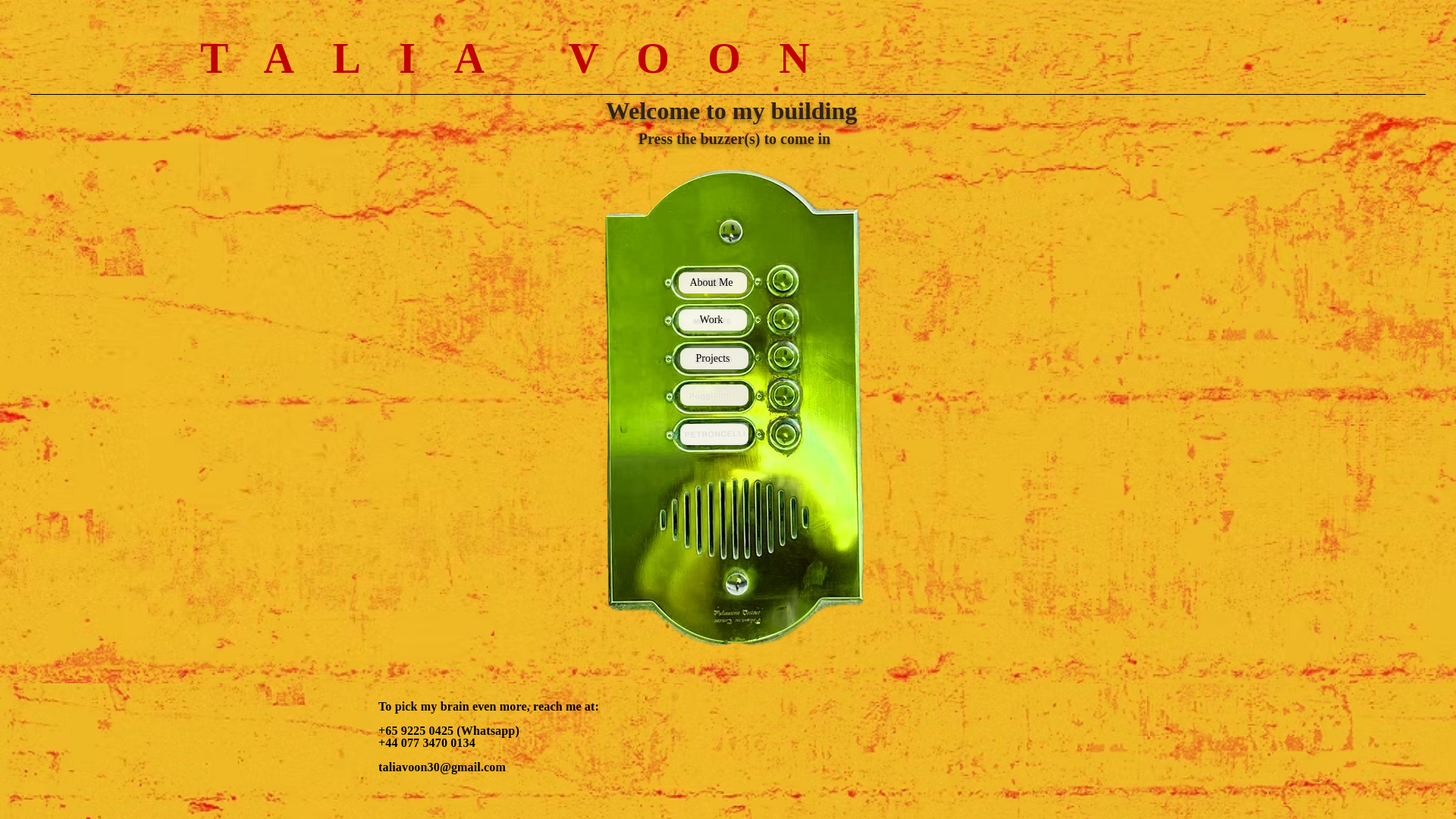 website screenshot of https://taliavoon.com/