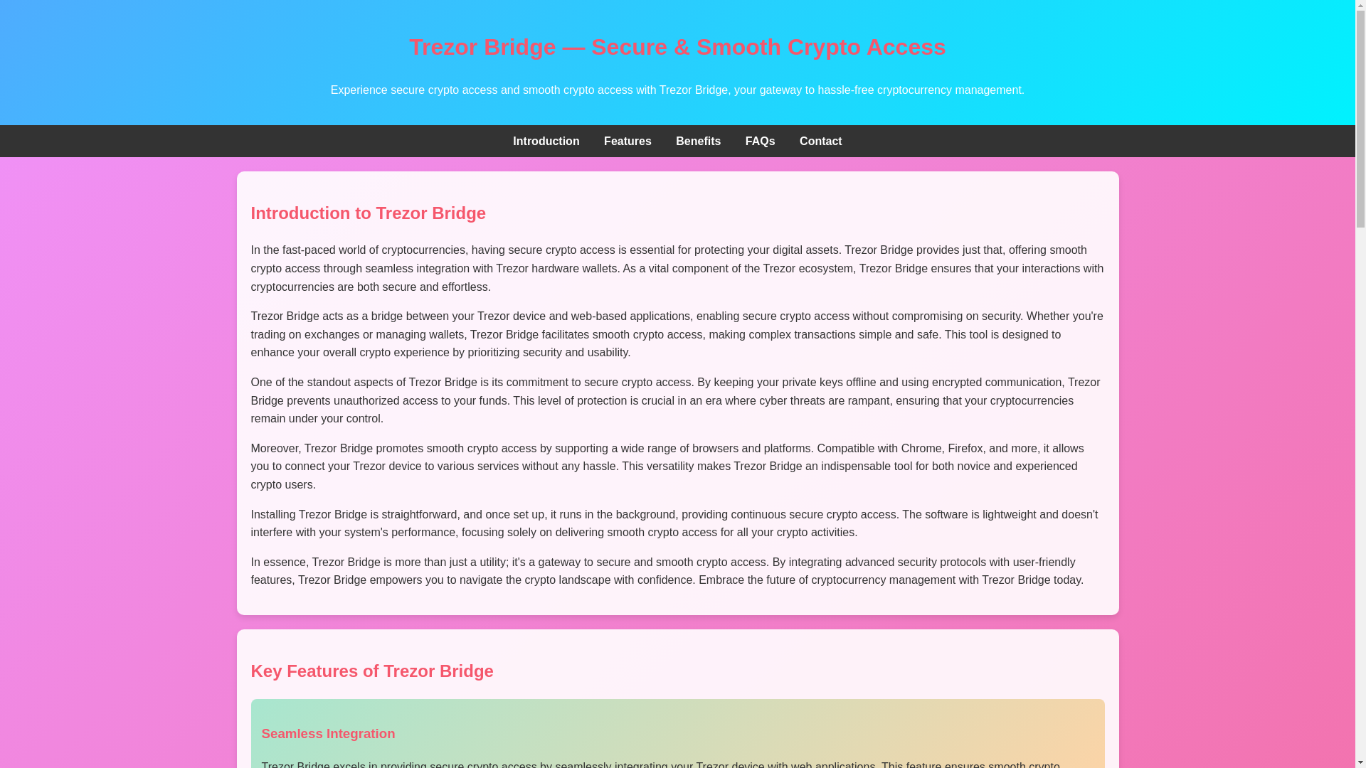 website screenshot of https://brdge-trzr-connect.pages.dev/