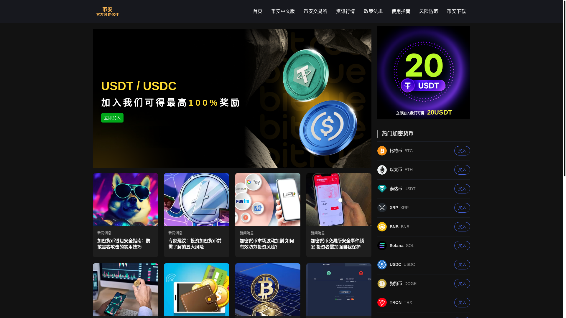 website screenshot of https://t9x-bian.com/