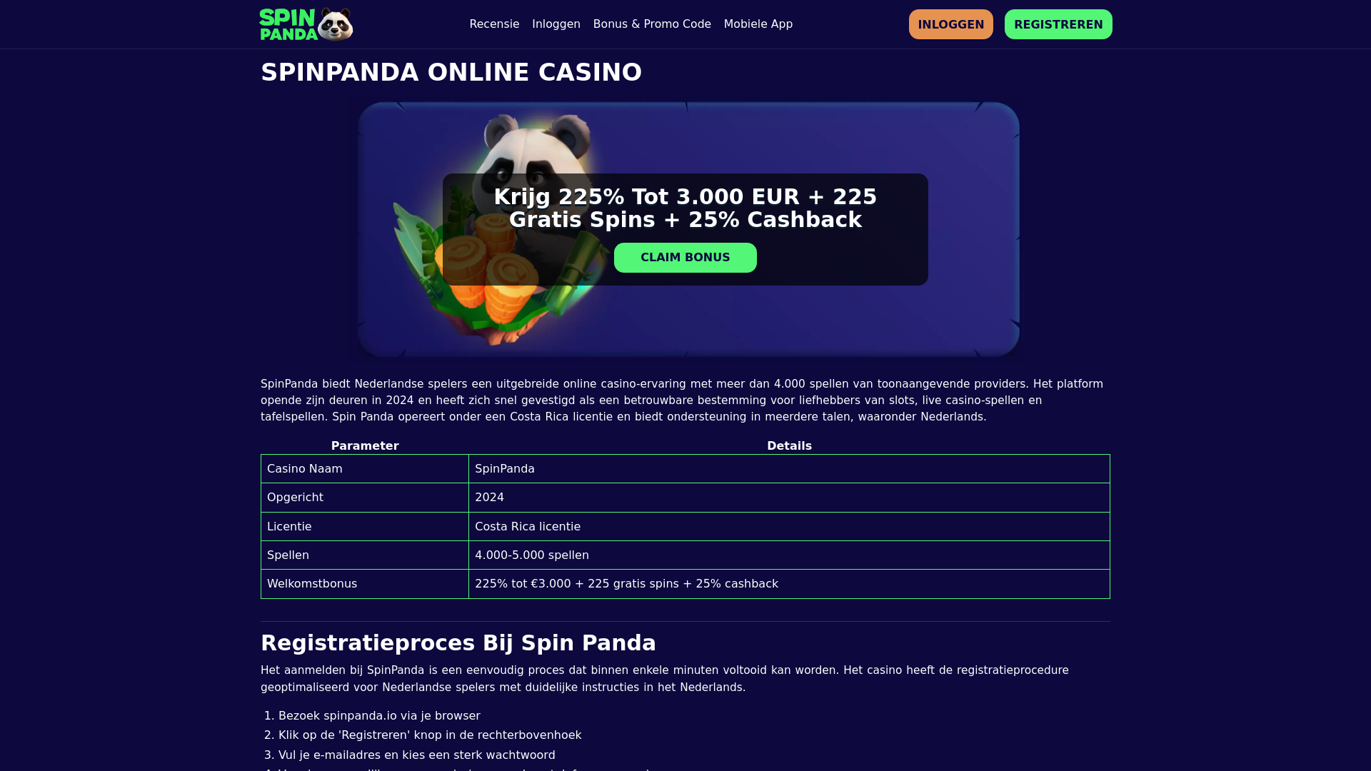website screenshot of https://spiinpanda.nl/