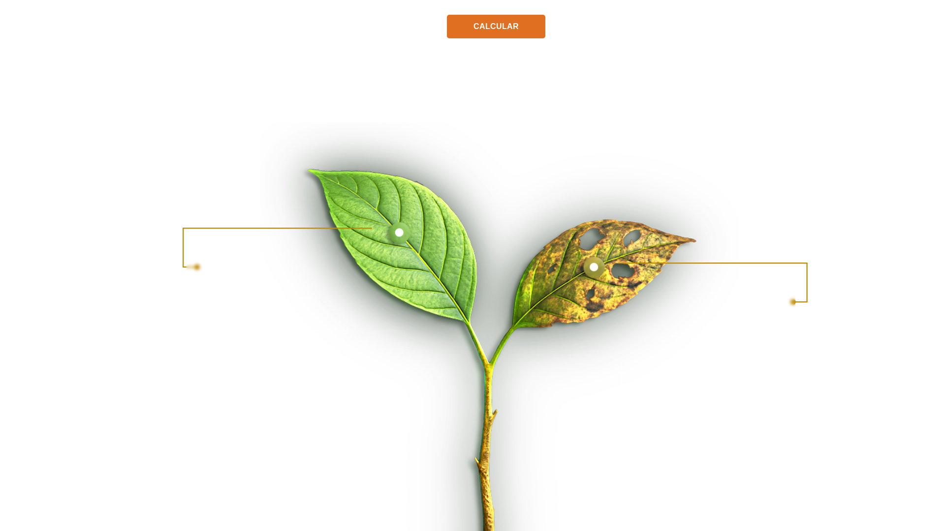 website screenshot of https://planejaagrodigital.com.br/