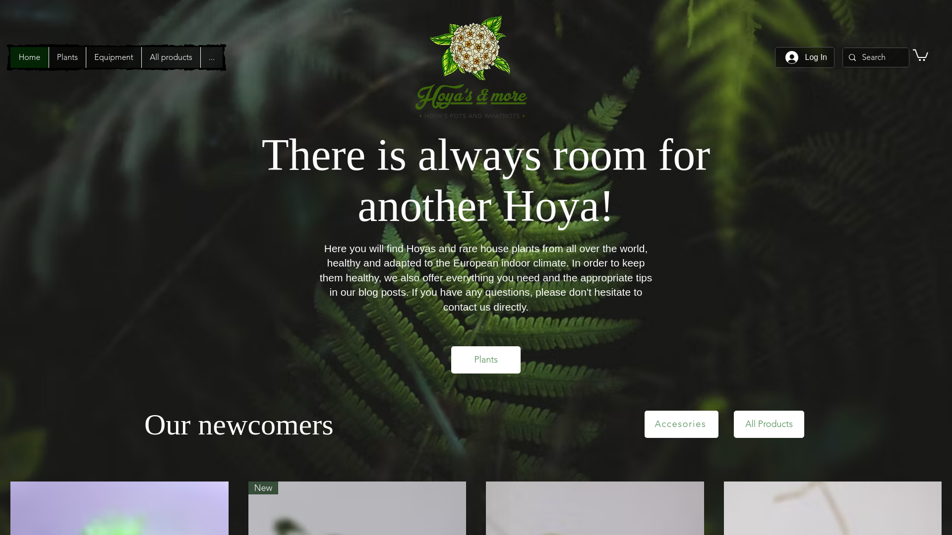 website screenshot of https://www-hoyasandmore-com-cf.pages.dev/
