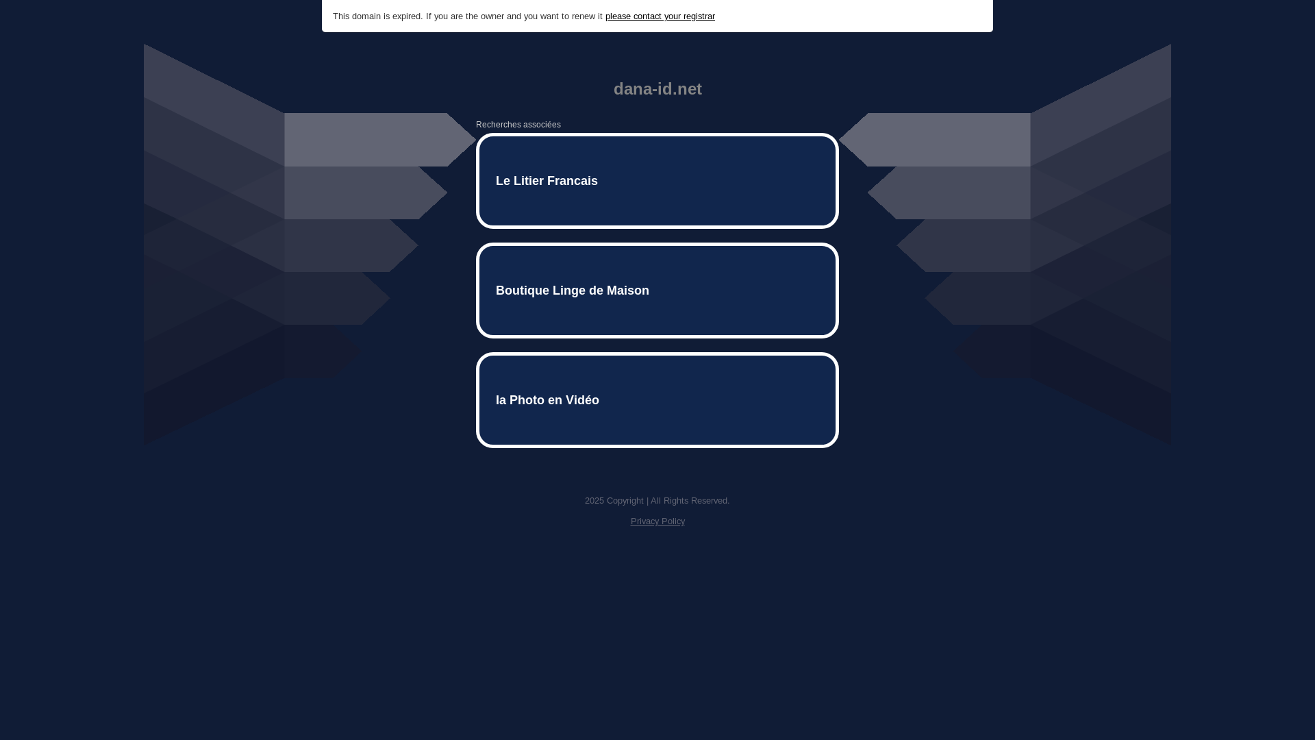 website screenshot of https://dana-id.net/