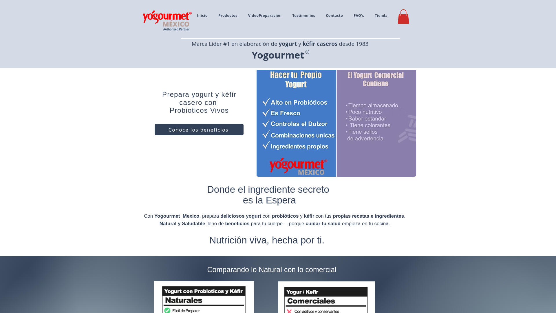 website screenshot of https://yogourmet.mx