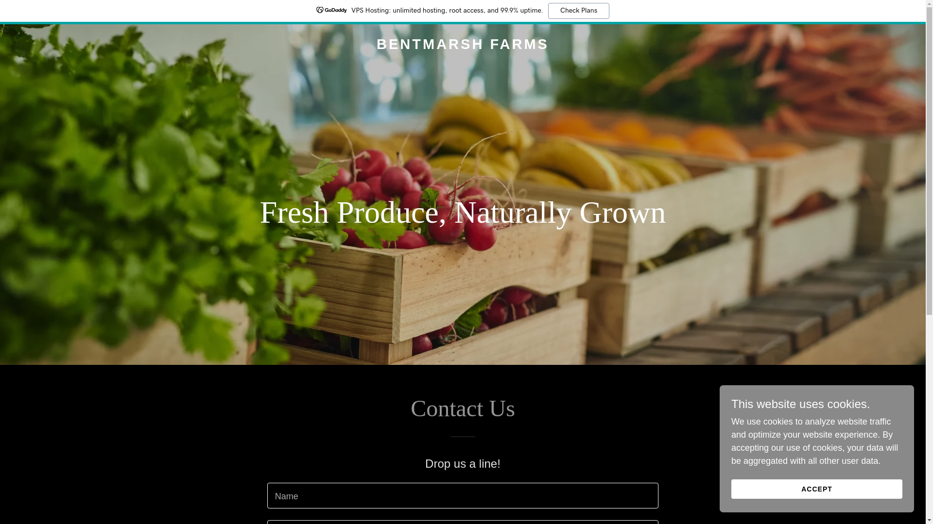 website screenshot of https://bentmarshfarms.com/