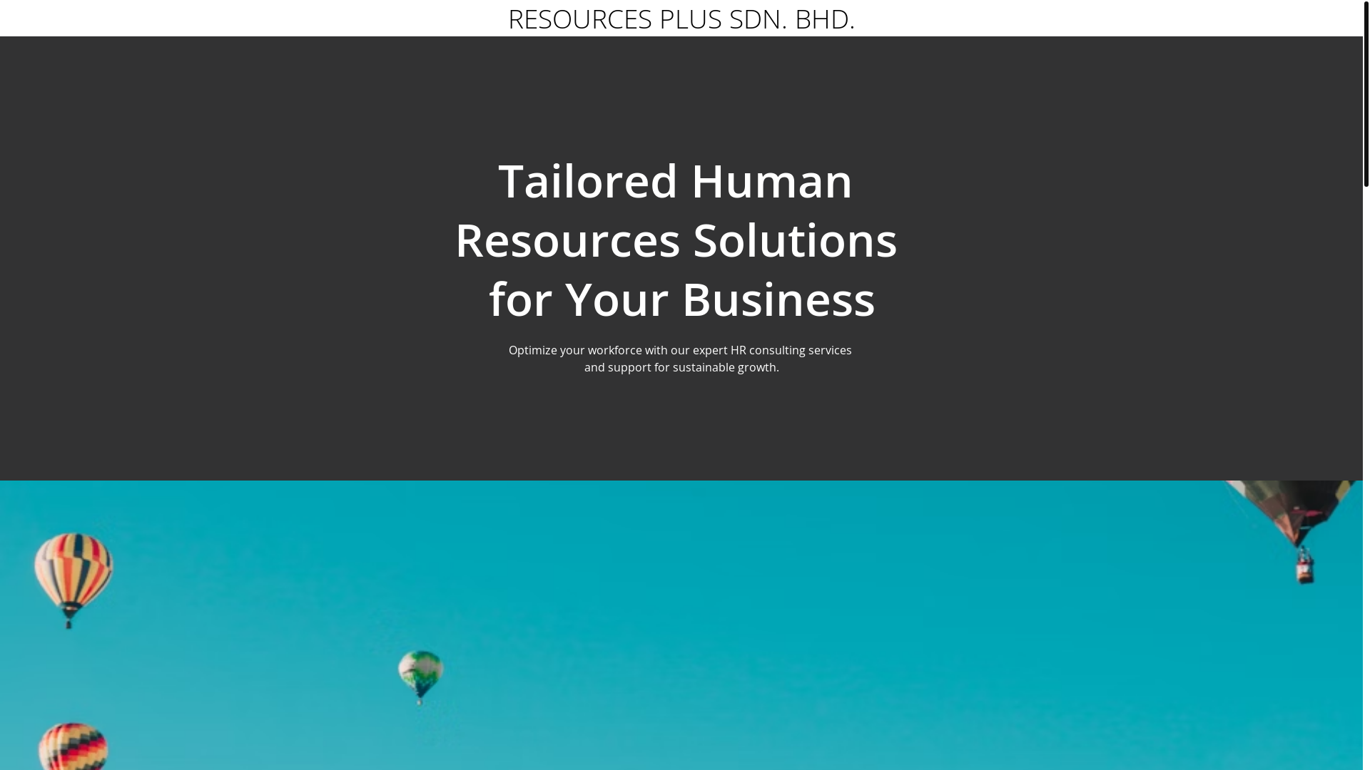 website screenshot of https://resourcesplus.pro/