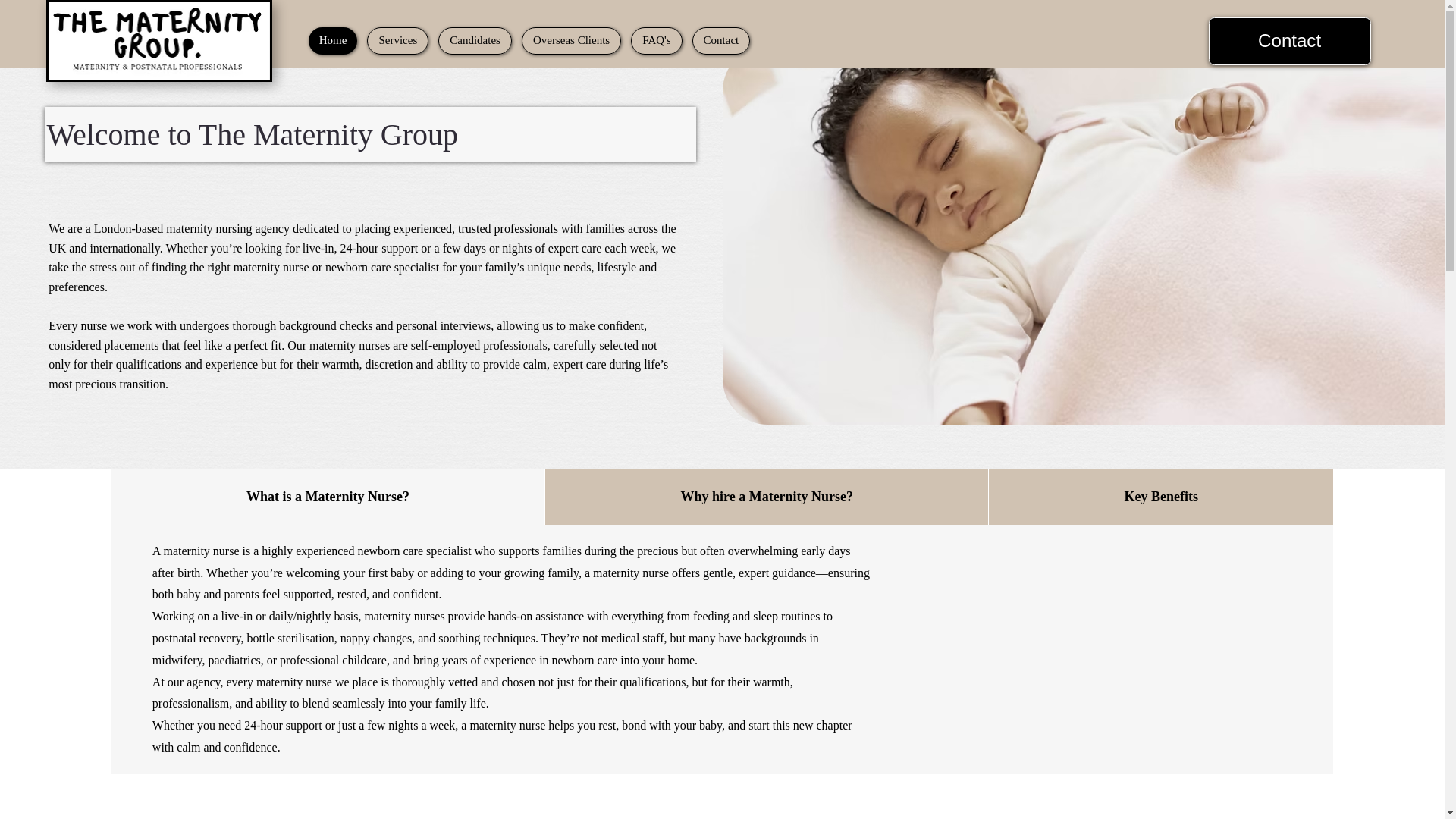 website screenshot of https://thenannyandmaternityagency.co.uk/