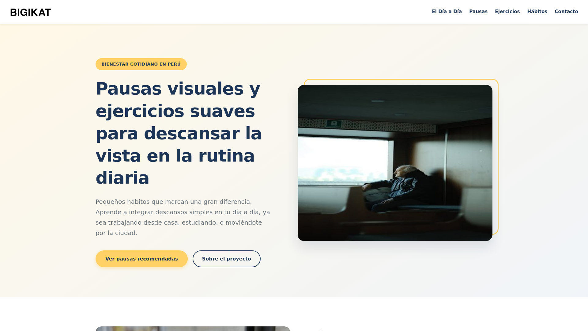 website screenshot of https://bigikat.icu/