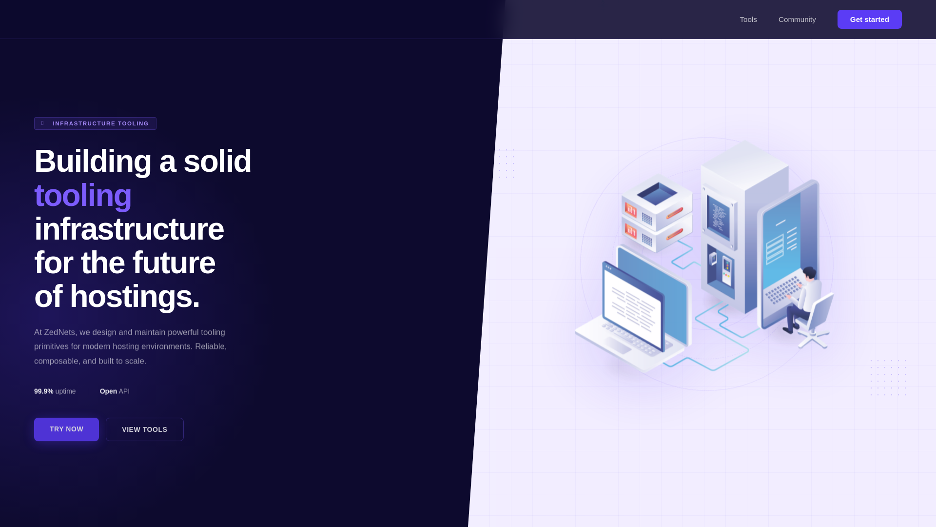 website screenshot of https://zednets.cc/