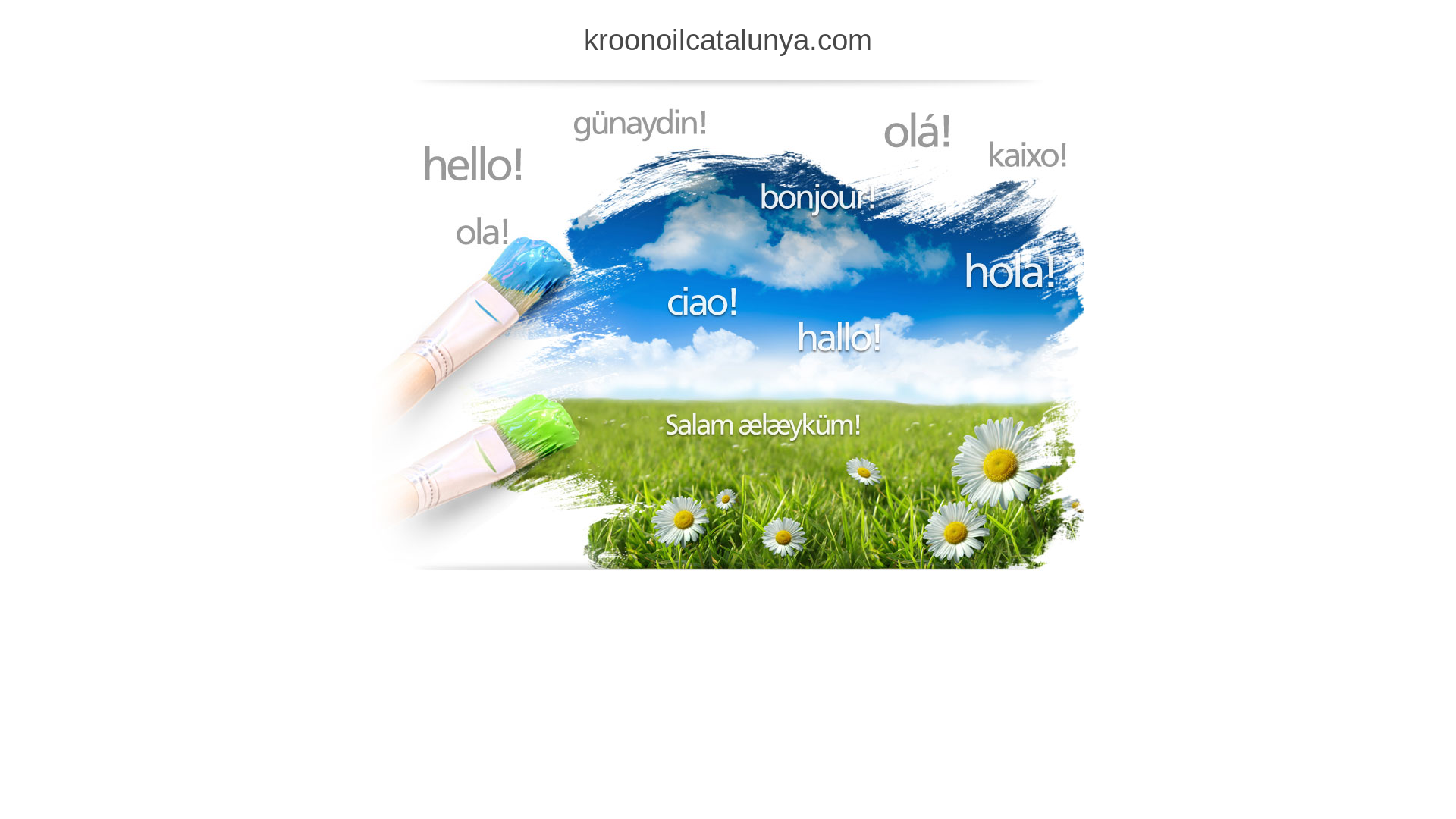 website screenshot of https://kroonoilcatalunya.com/