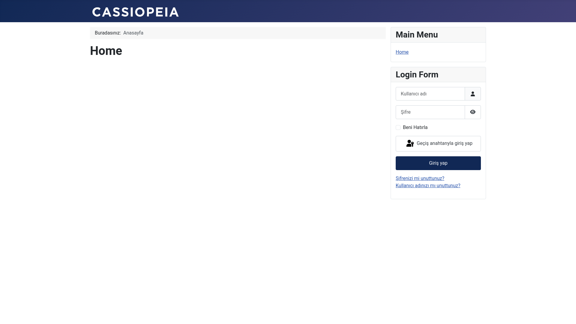website screenshot of https://mushaber.tr/
