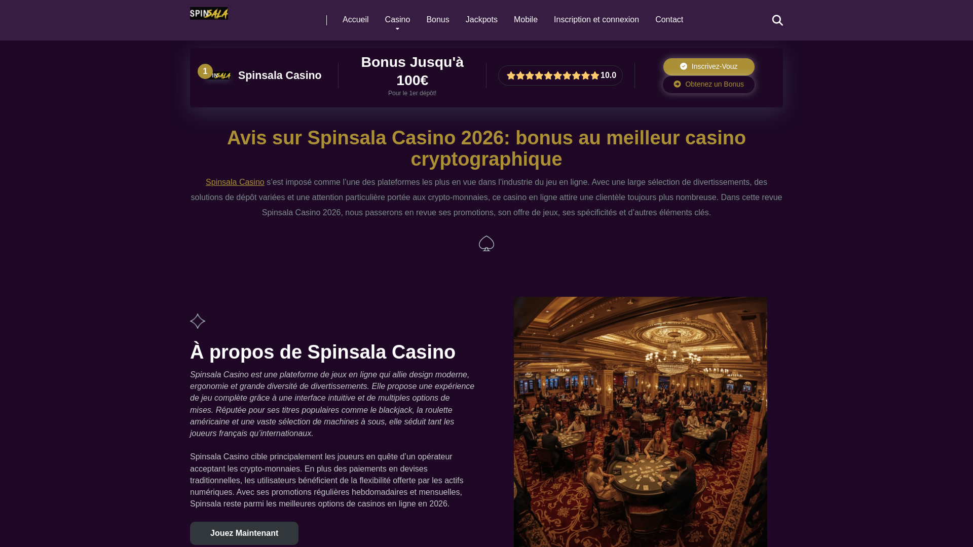 website screenshot of https://spinsalacasinofr.shop/