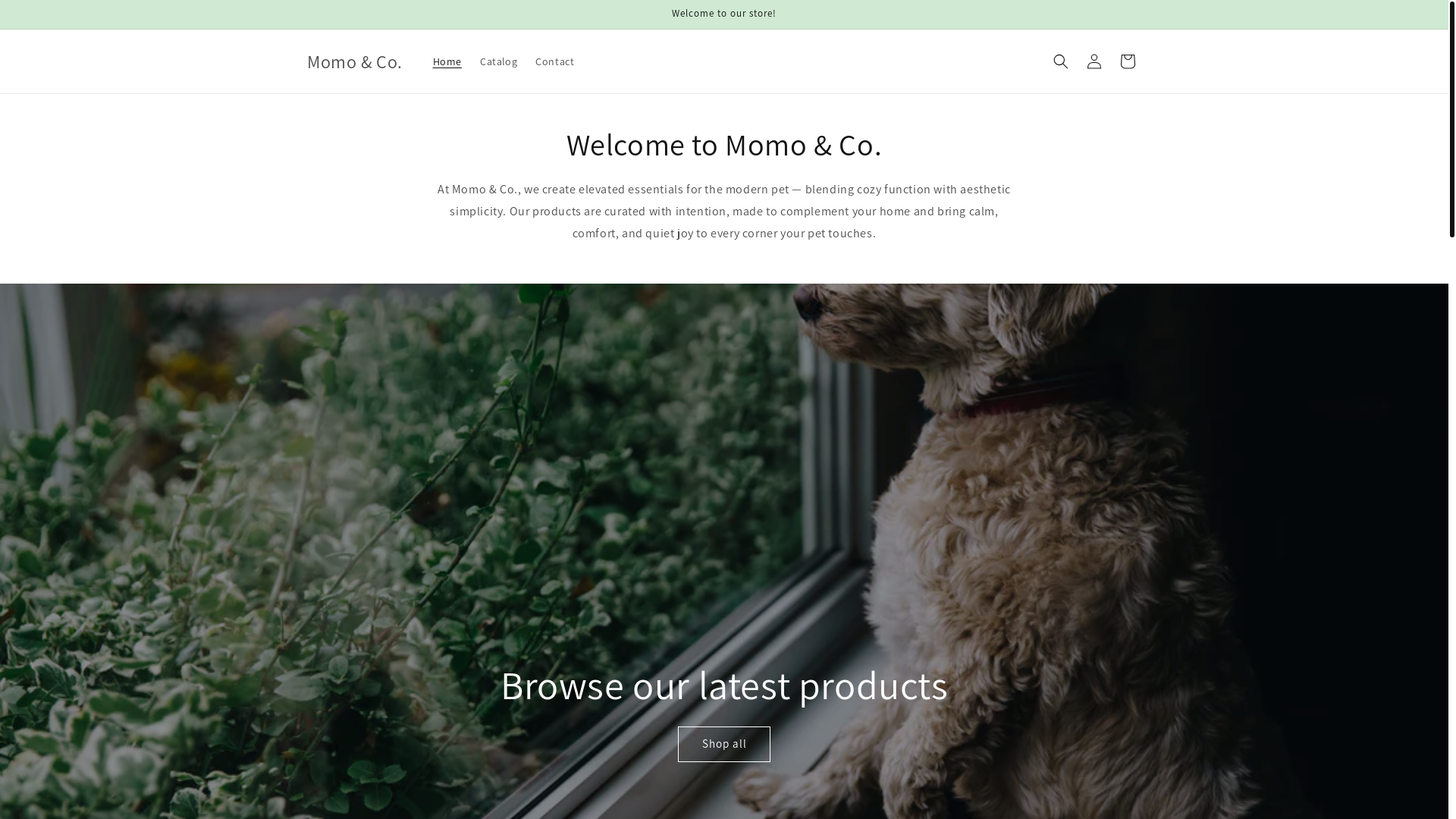 website screenshot of https://momoandco.store/
