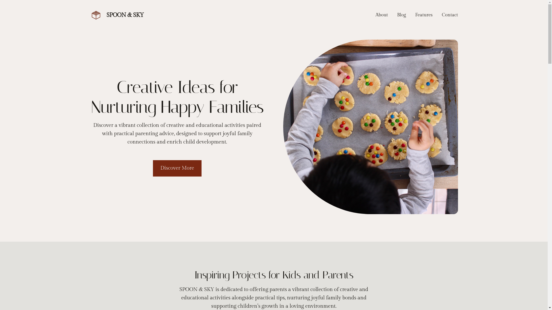 website screenshot of https://spoonandsky.com/