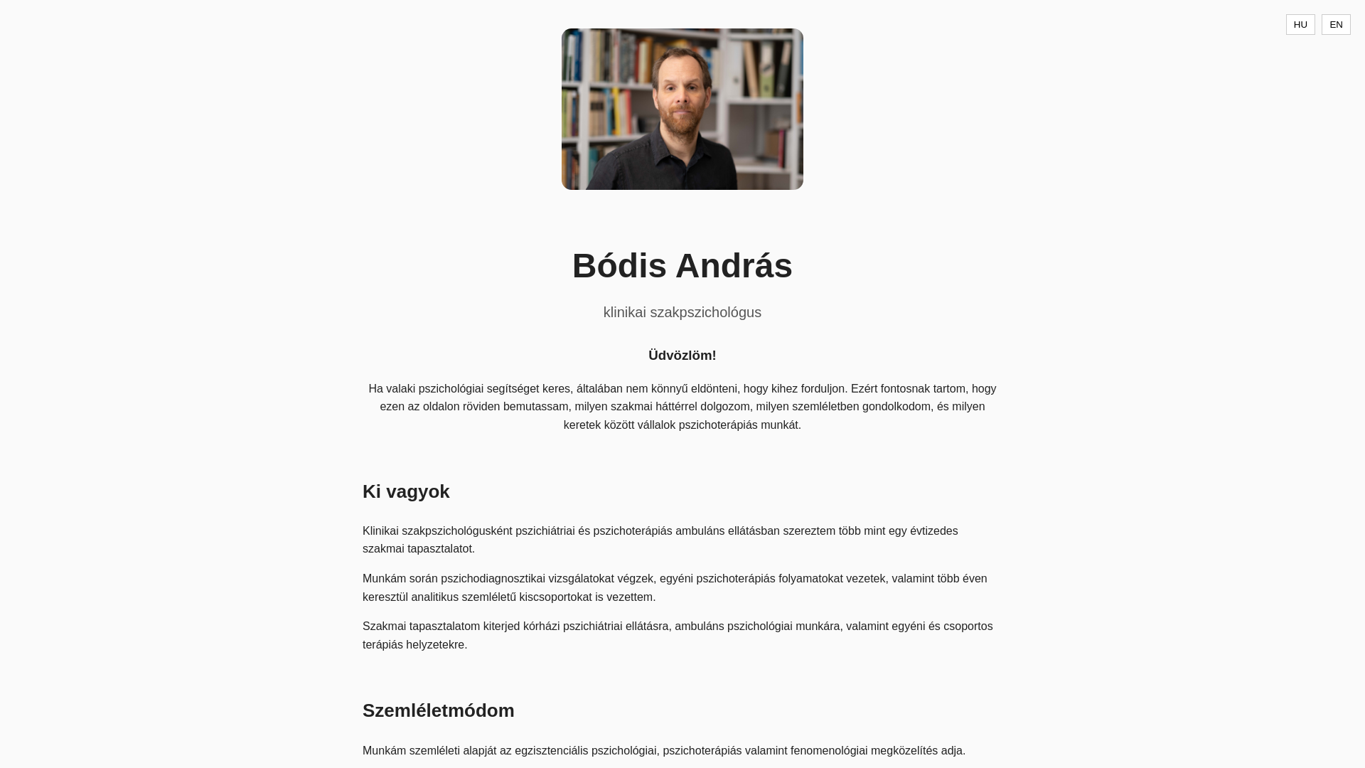 website screenshot of https://bodisandras.com/