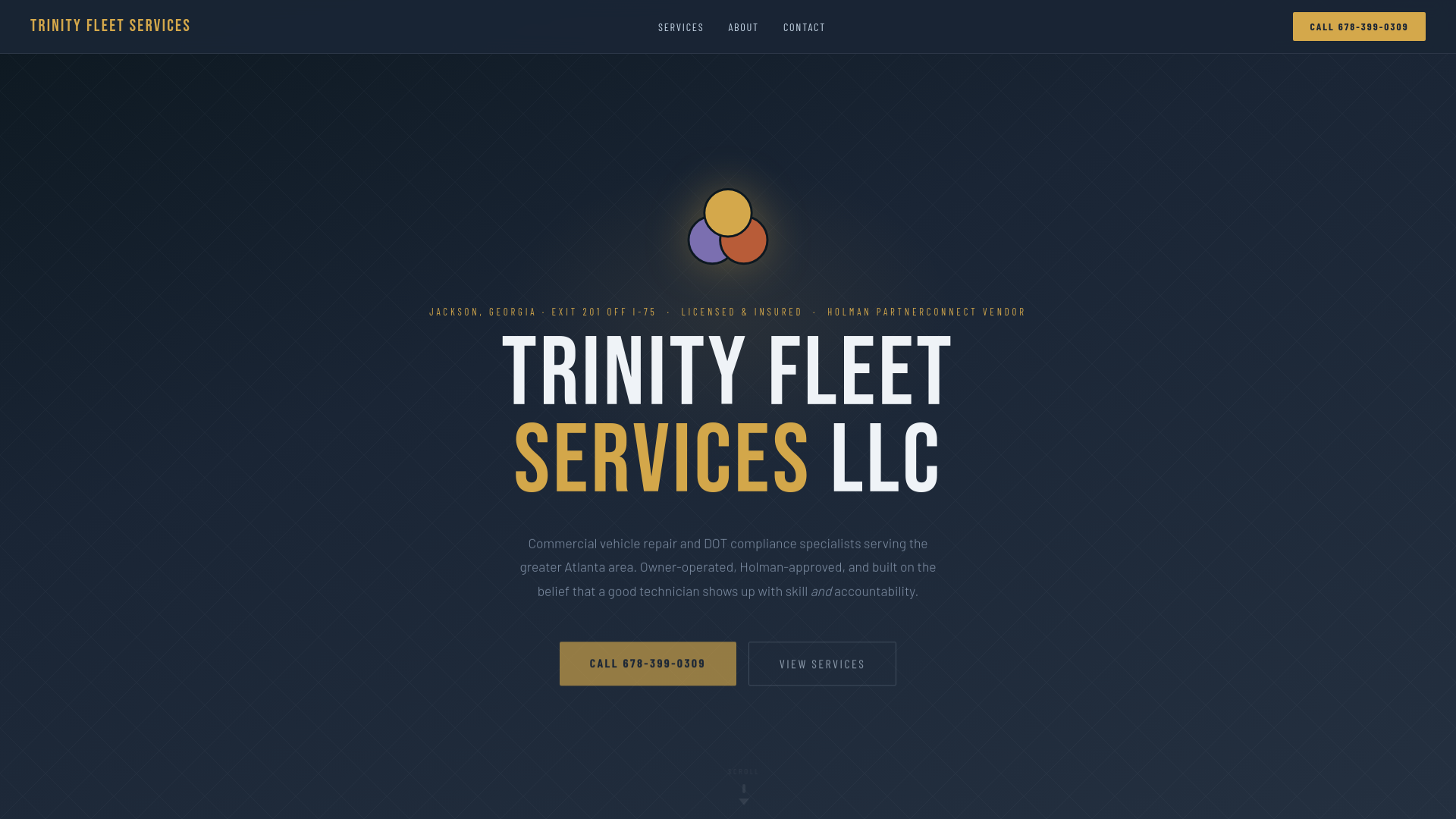 website screenshot of https://trinityfleetsvc.com/