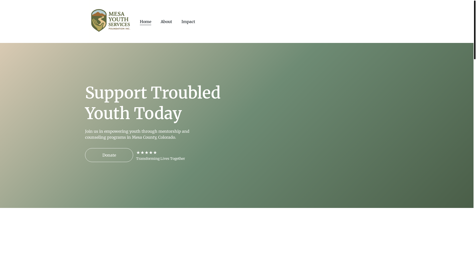 website screenshot of https://mesayouthservices.org/
