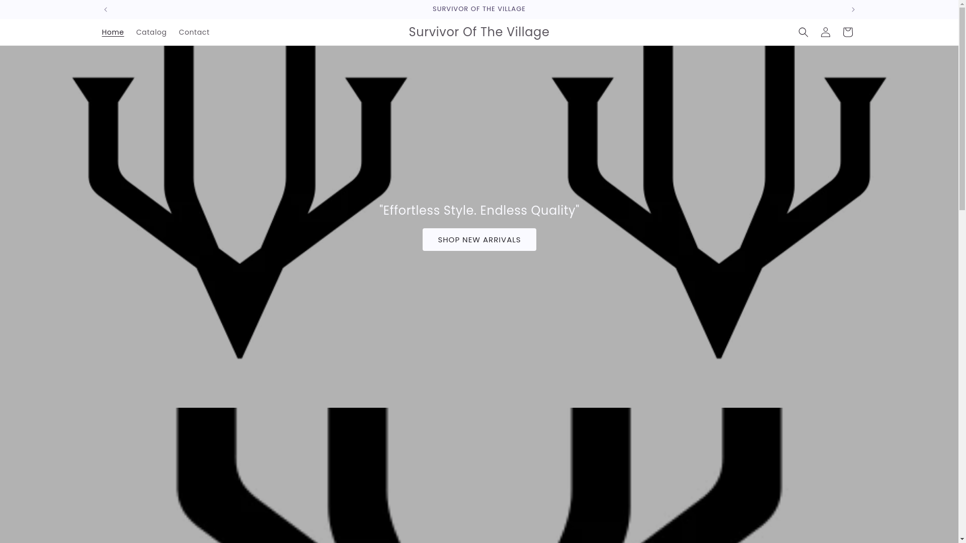 website screenshot of https://villagevelour.com/