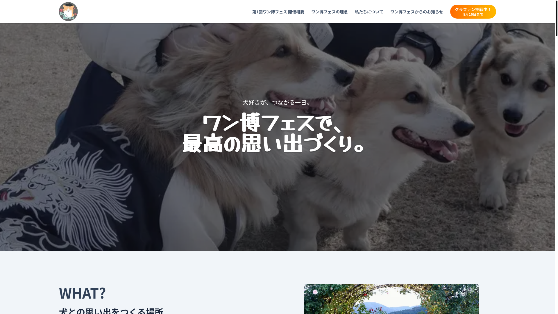 website screenshot of https://wanpakufes.com/