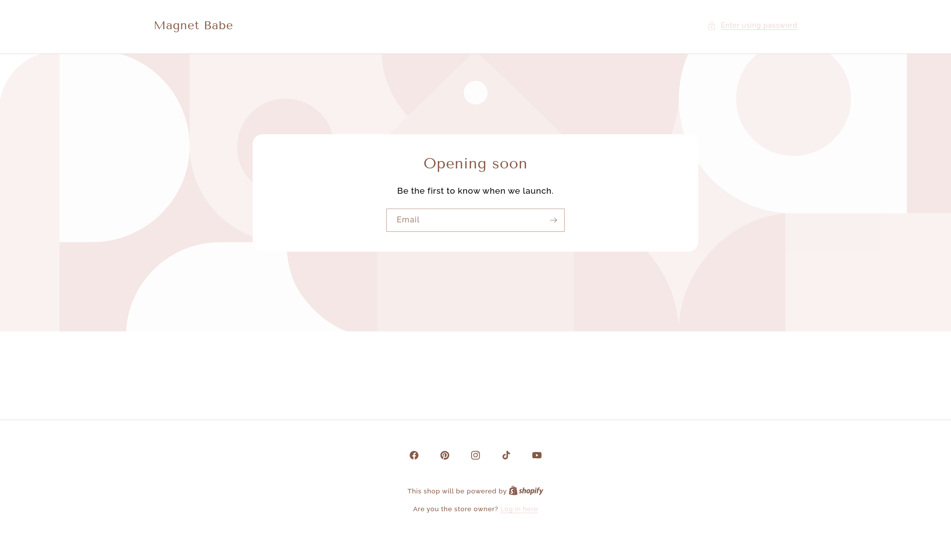 website screenshot of https://shopmagnetbabe.com