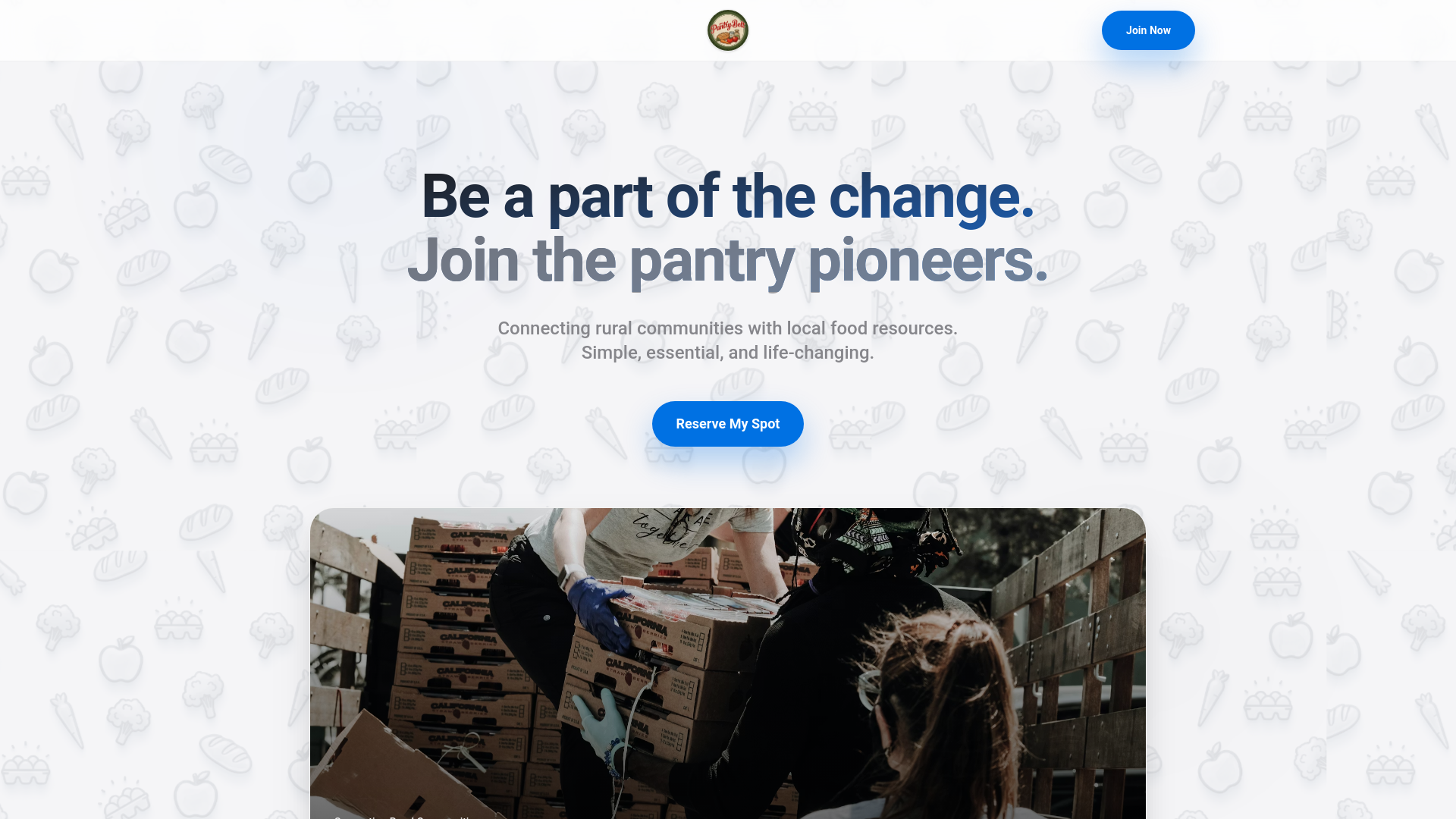 website screenshot of https://pantrybelt.com/