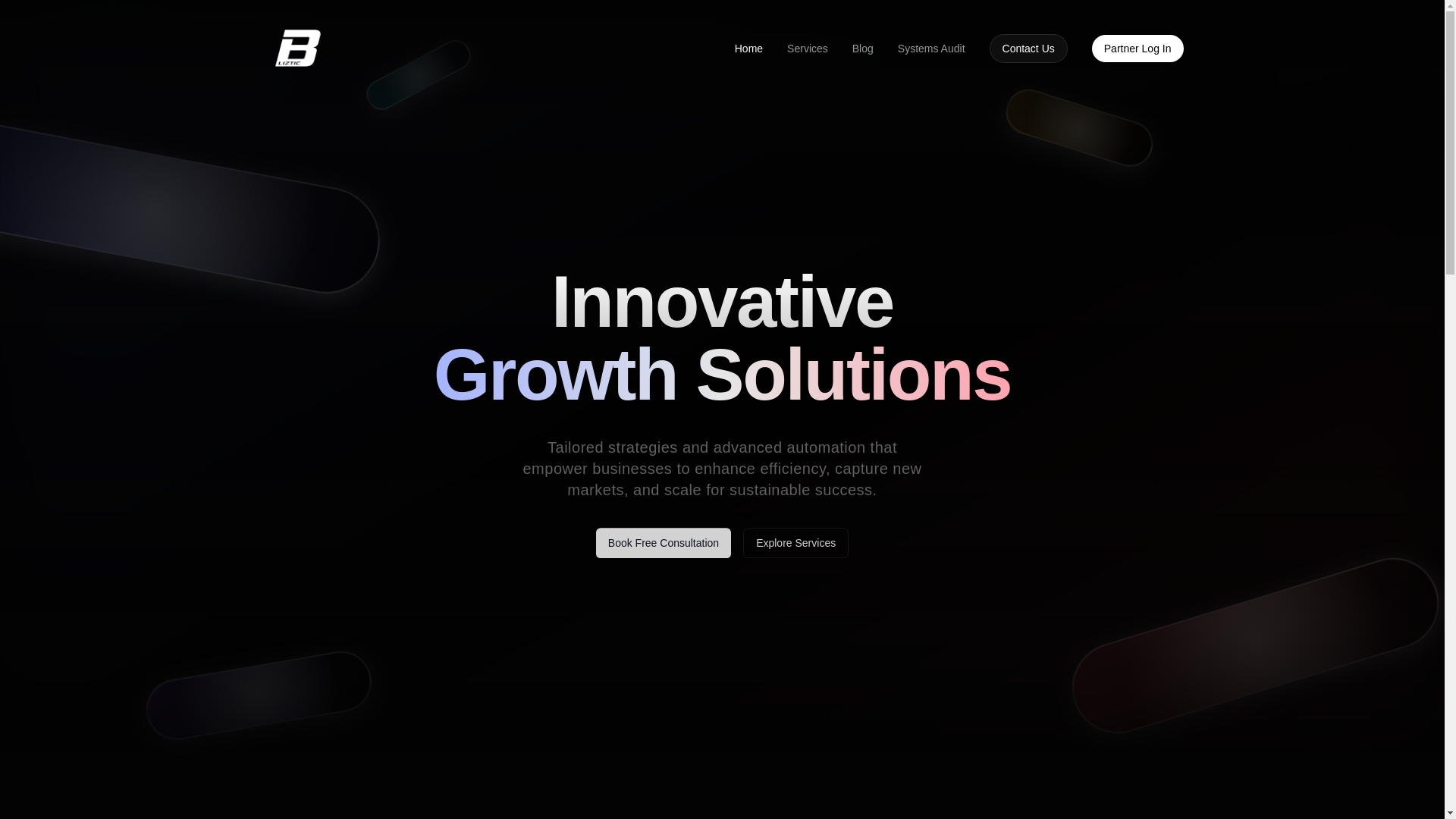 website screenshot of https://blizticauto.com/