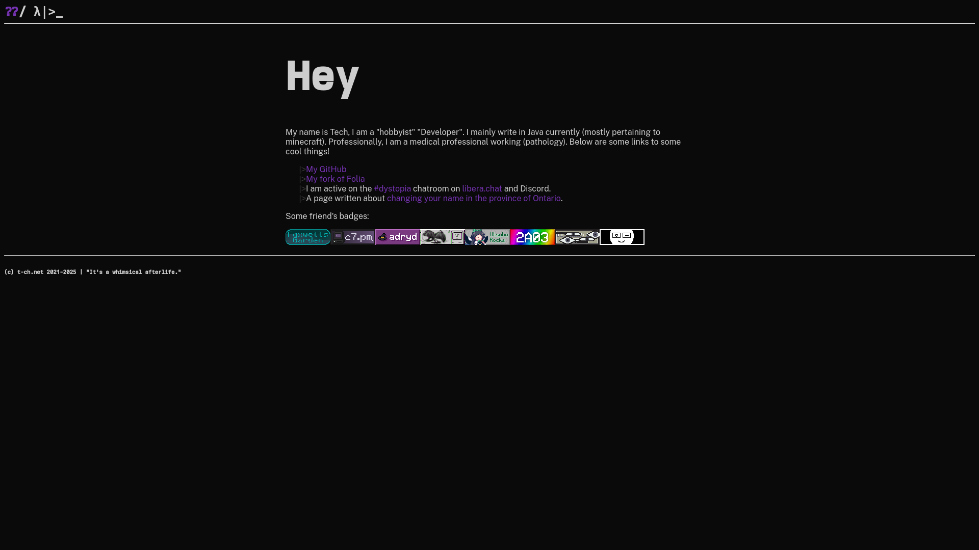 website screenshot of https://t-ch-net.pages.dev/