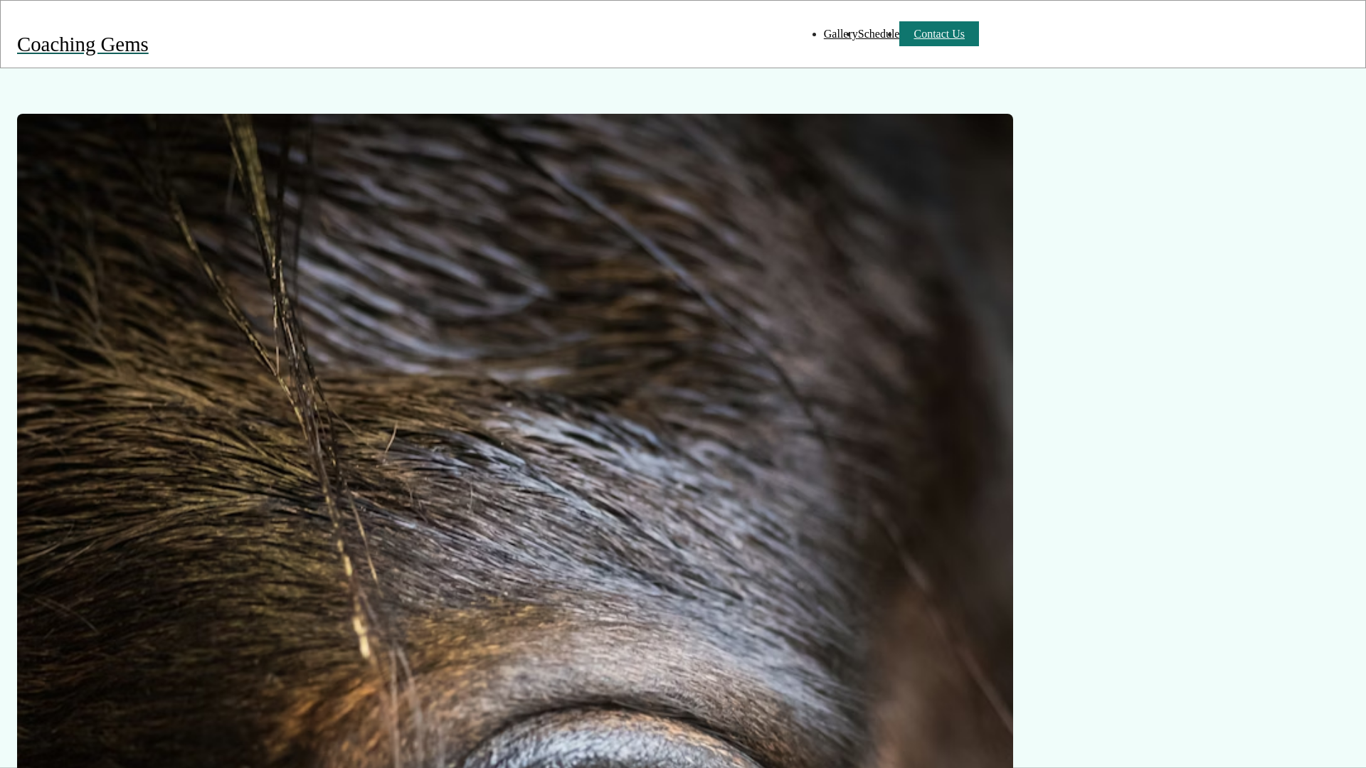 website screenshot of https://gemhazel.uk/