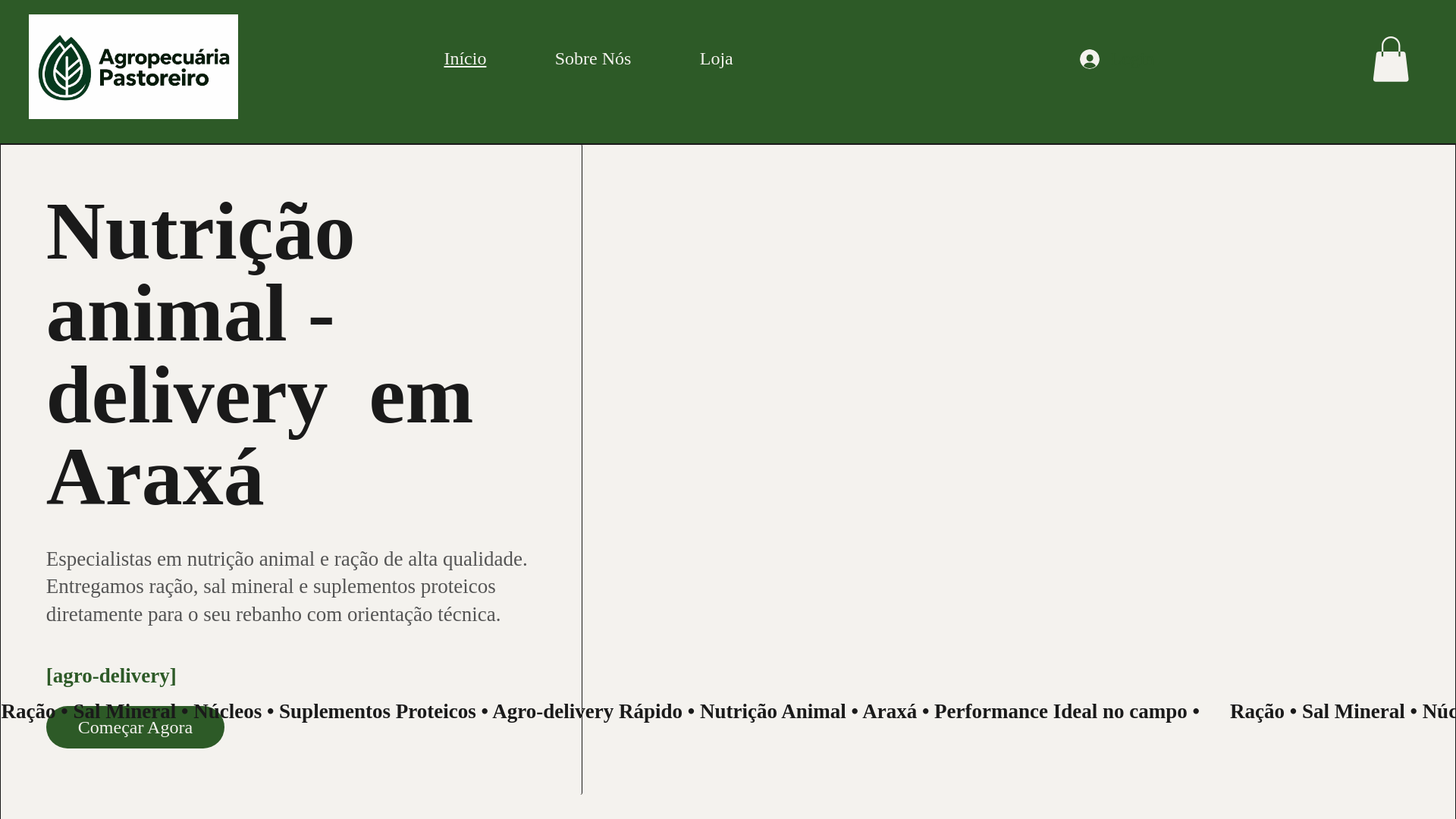 website screenshot of https://agropastoreiro.com/