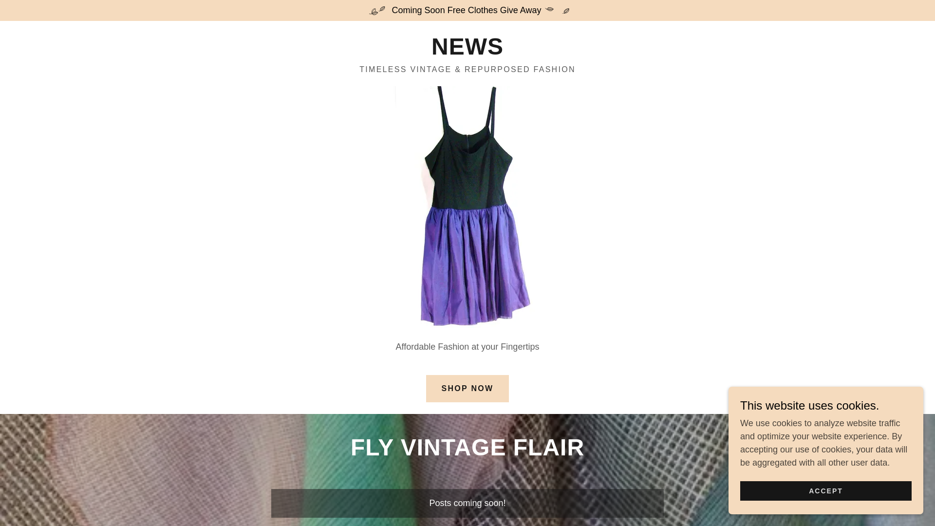 website screenshot of https://flyvintageflairinc.ai/