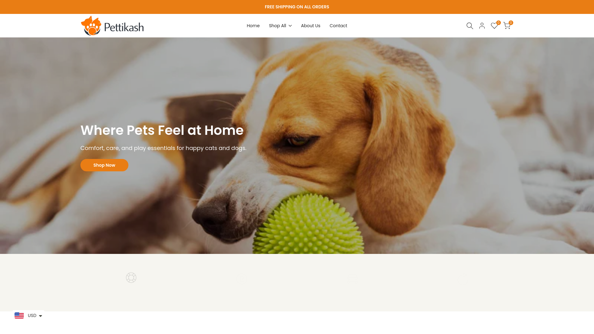 website screenshot of https://pettikash.com/