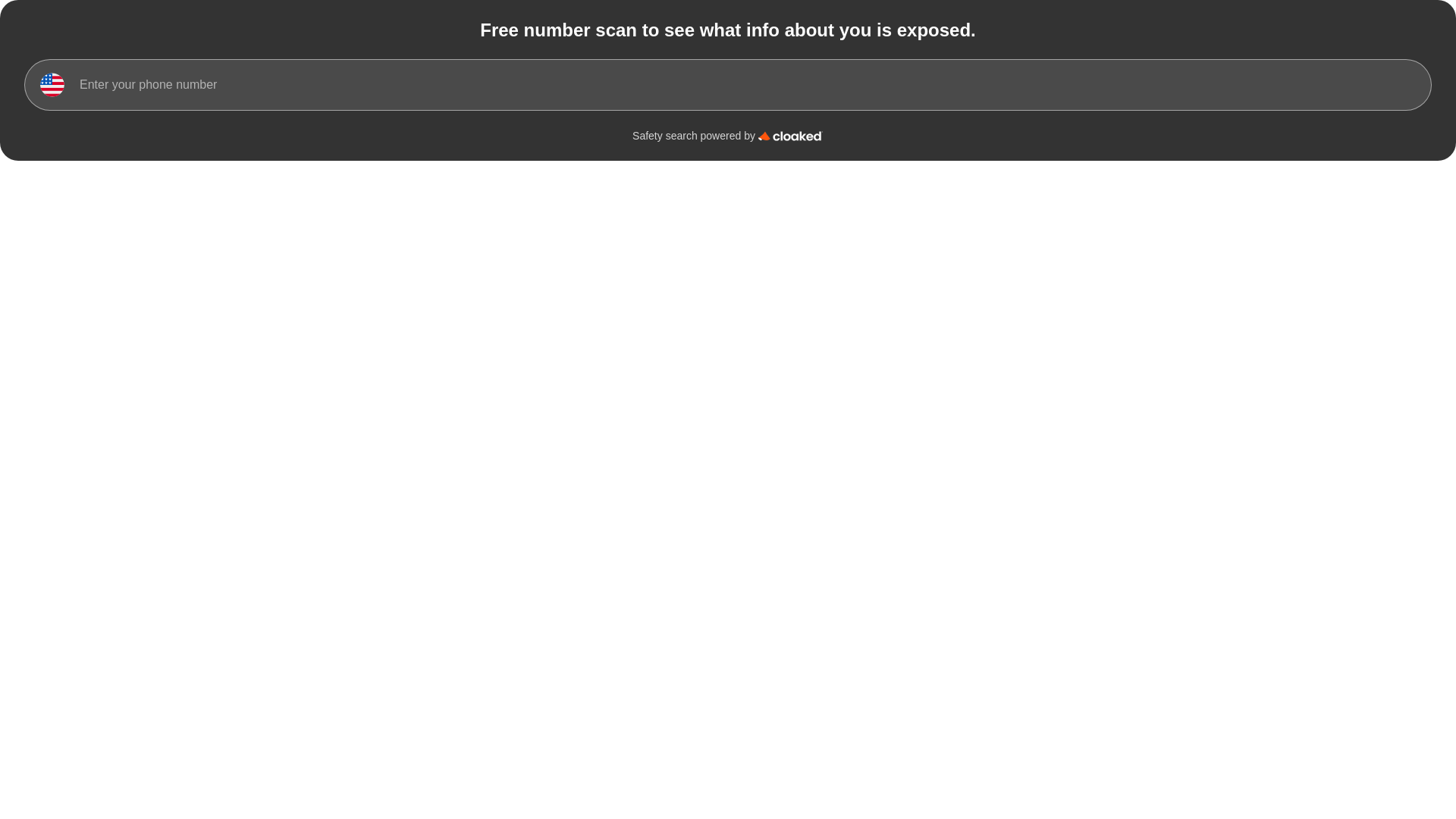 website screenshot of https://number-scan-widget.pages.dev/