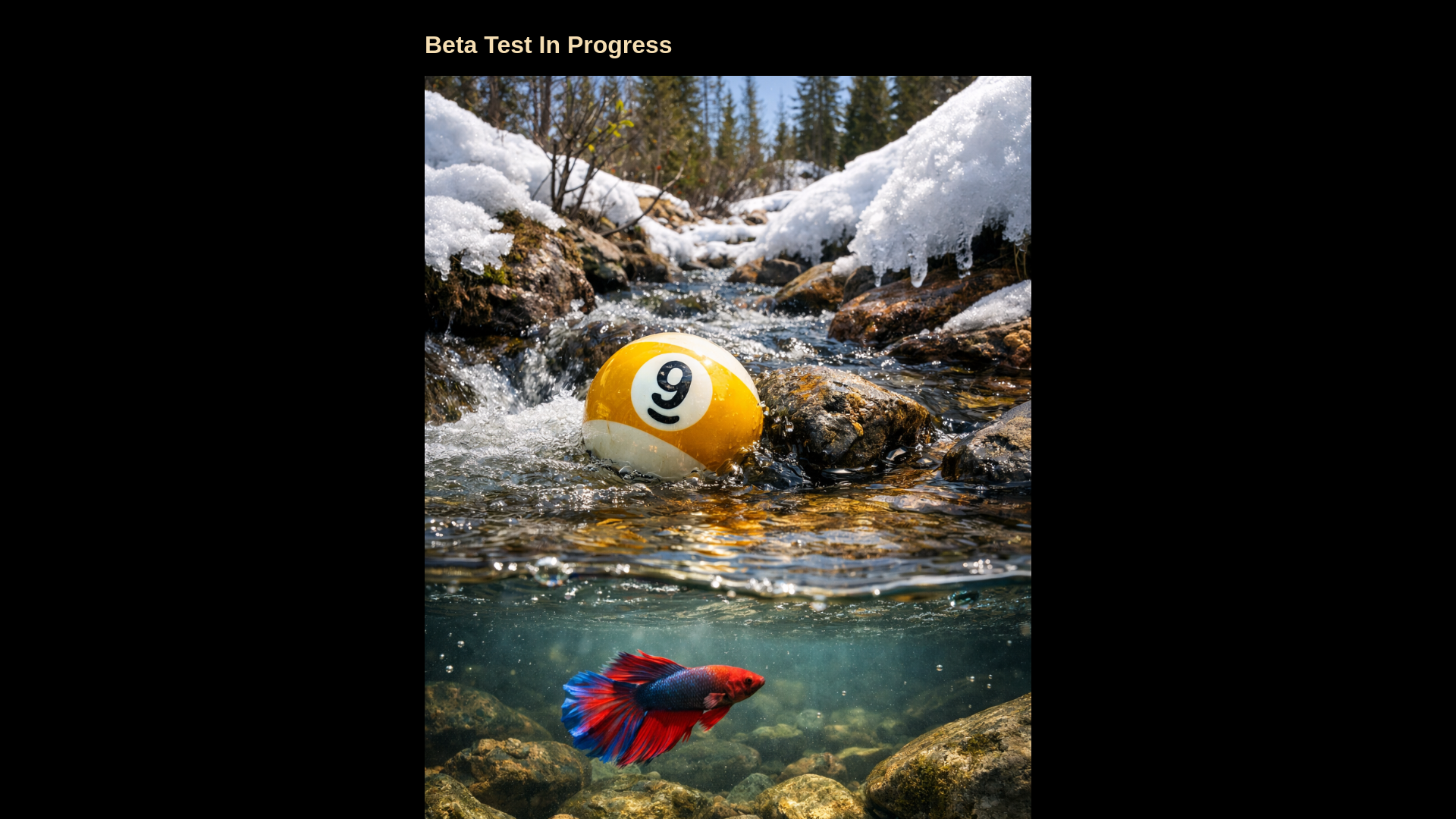 website screenshot of https://regina-billiards.pages.dev/